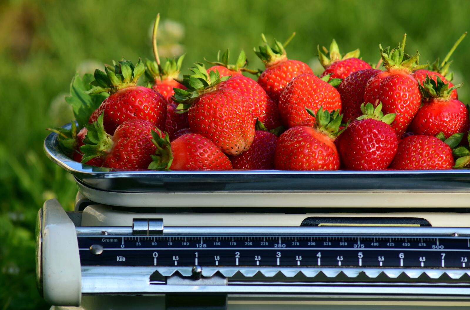 Nikon D3300 sample photo. Horizontal, strawberries, weigh photography
