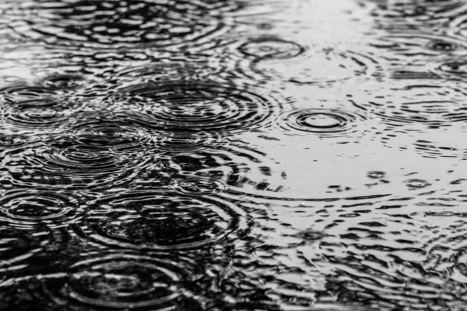 Canon EOS 7D Mark II sample photo. Puddle, water, rain photography