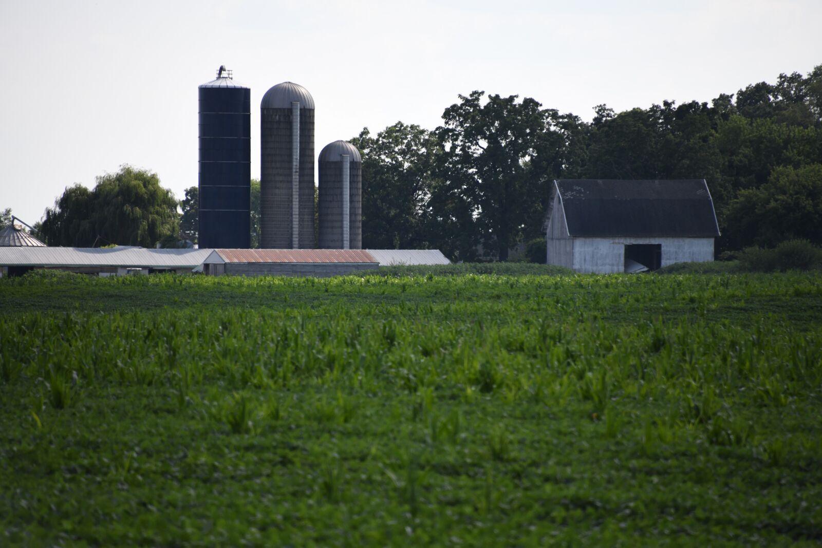 Nikon D850 sample photo. Farm, countryside, silo photography