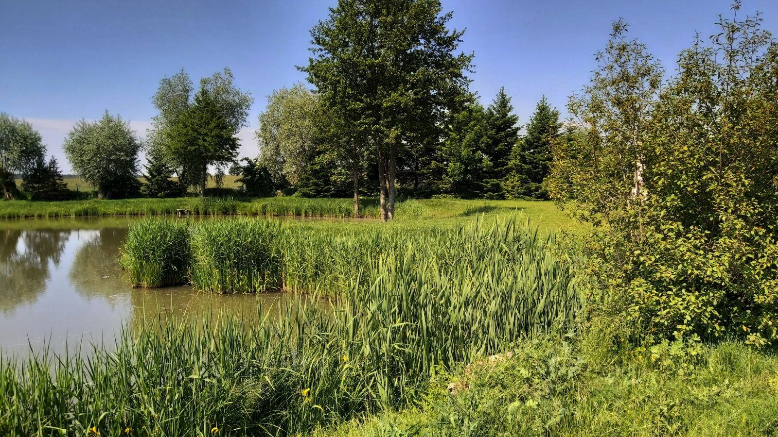 Samsung Galaxy A70 sample photo. Landscape, pond, lake photography