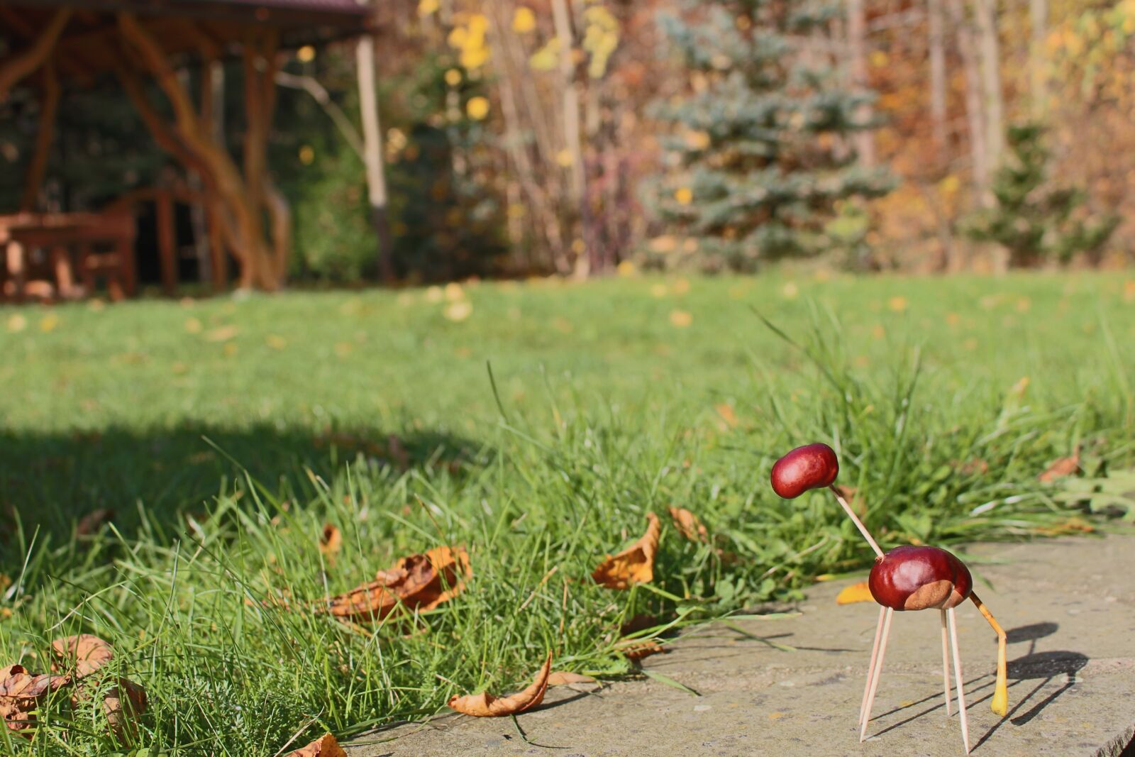 Canon EOS 100D (EOS Rebel SL1 / EOS Kiss X7) sample photo. Chestnuts, autumn photography