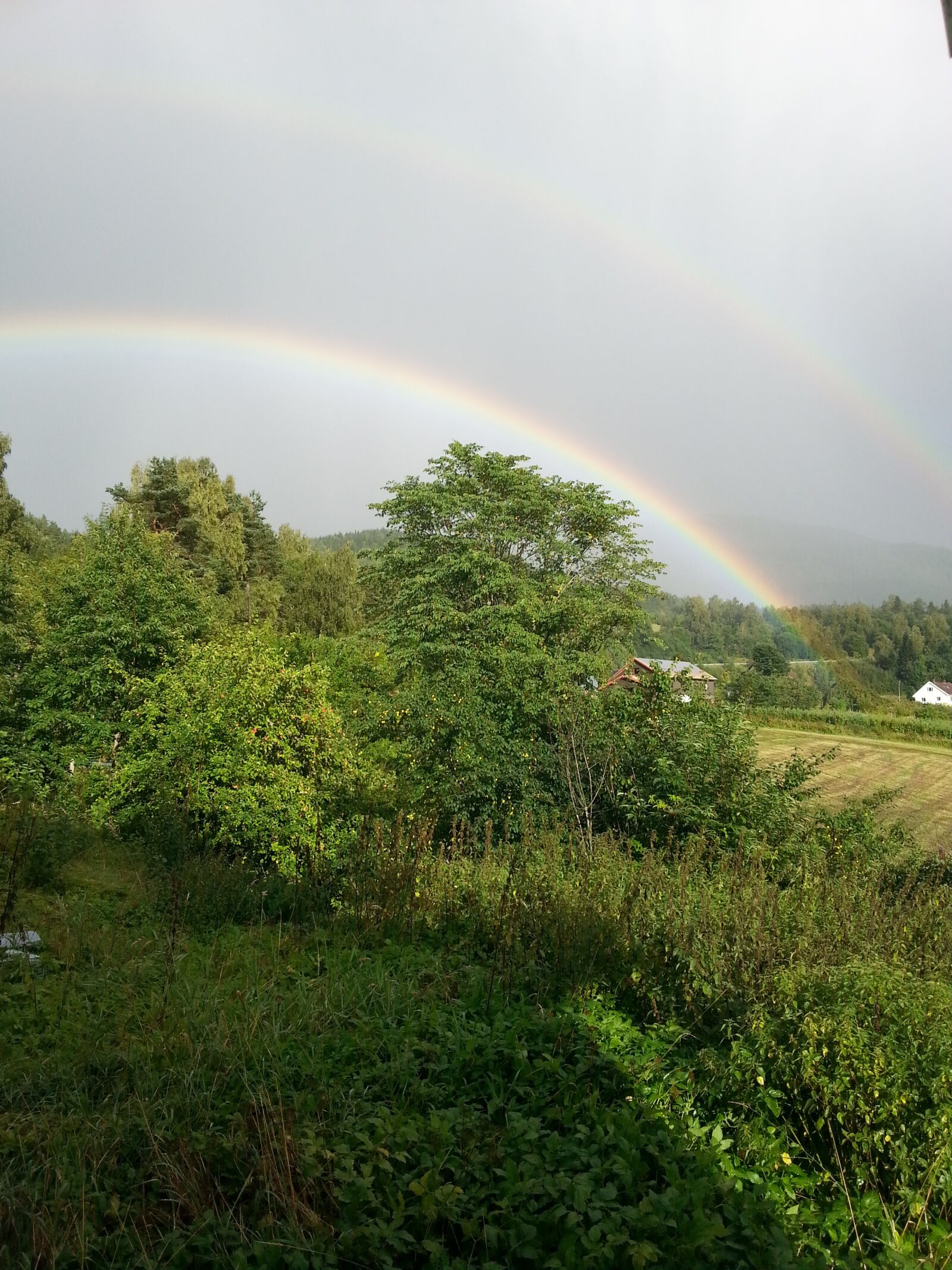 Samsung Galaxy S3 sample photo. Green, brown, double rainbow photography