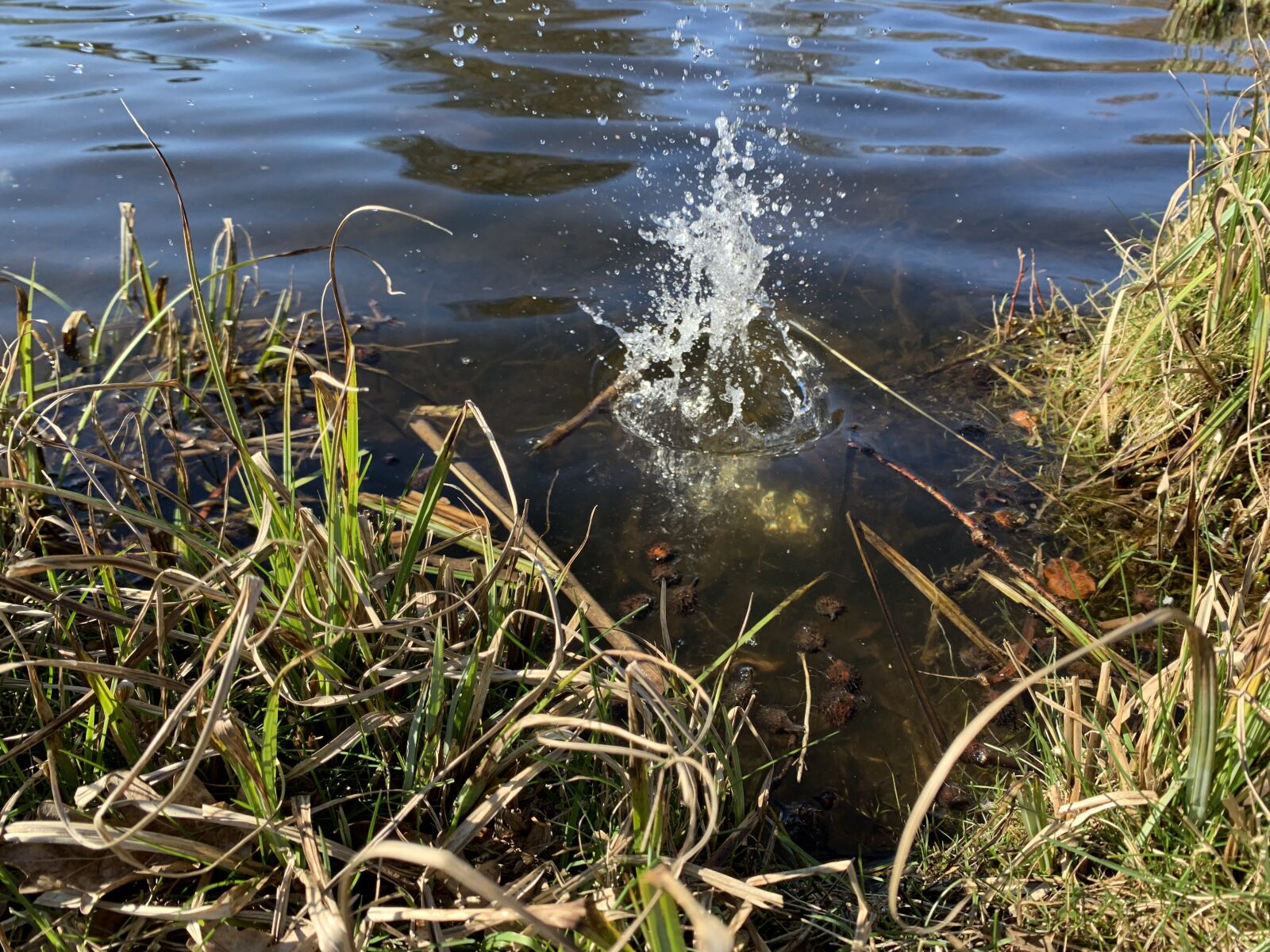iPhone XS back dual camera 4.25mm f/1.8 sample photo. Water, splash, lake photography