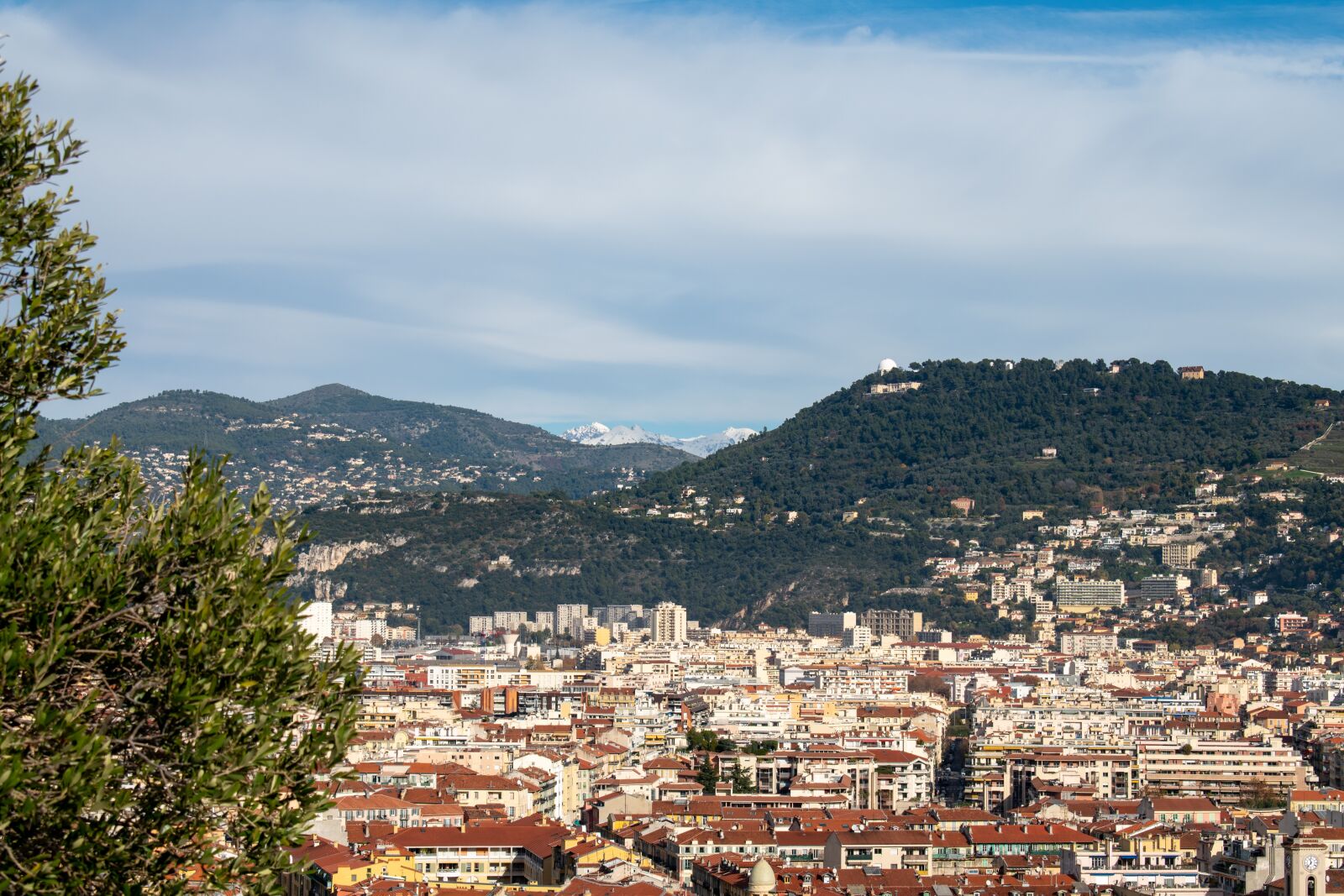 Nikon D5600 sample photo. City, sea, trees photography