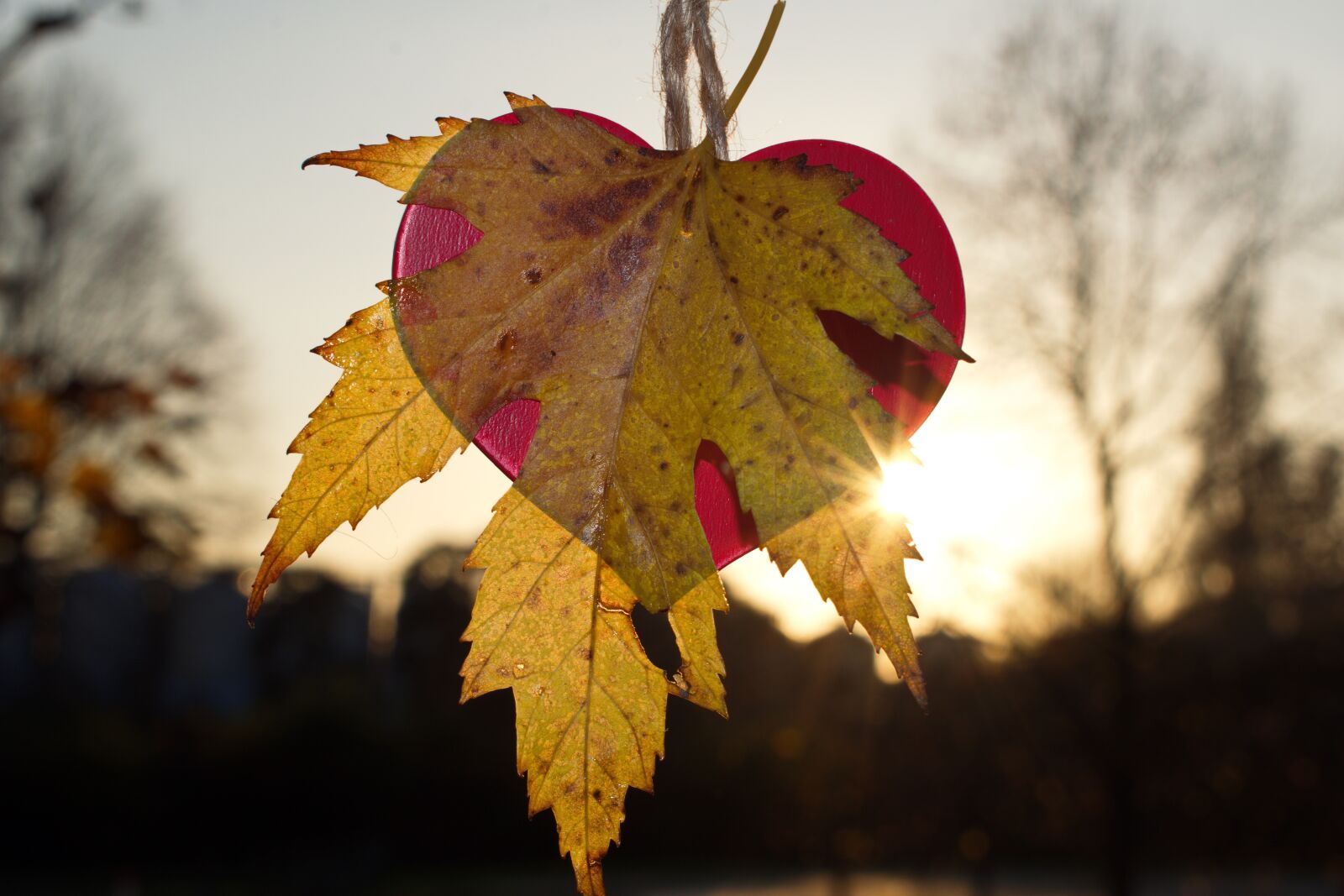 Nikon D3300 sample photo. Romantic sunset, romantic, sunset photography
