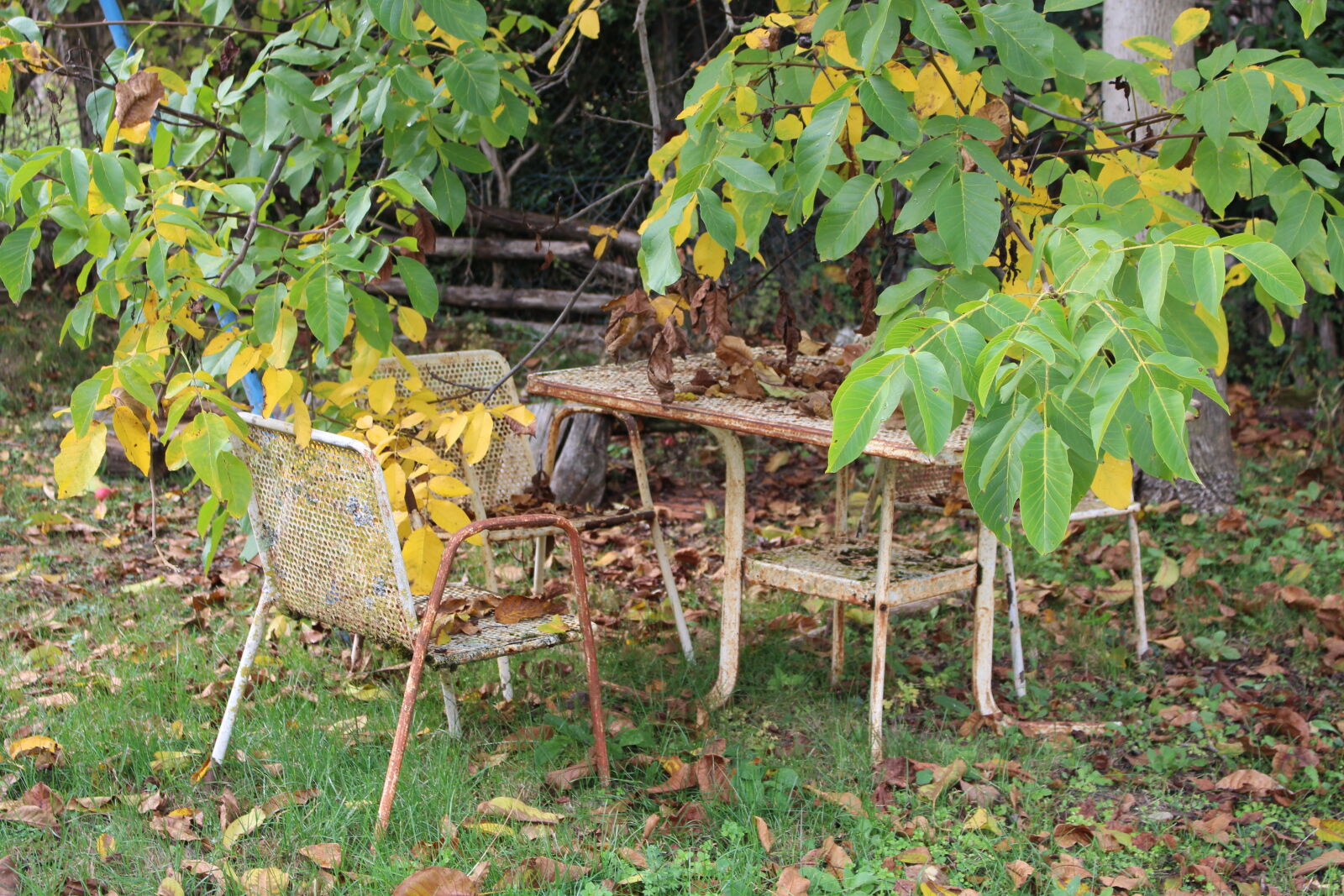 Canon EOS 700D (EOS Rebel T5i / EOS Kiss X7i) sample photo. Autumn, leaf, chair, nature photography
