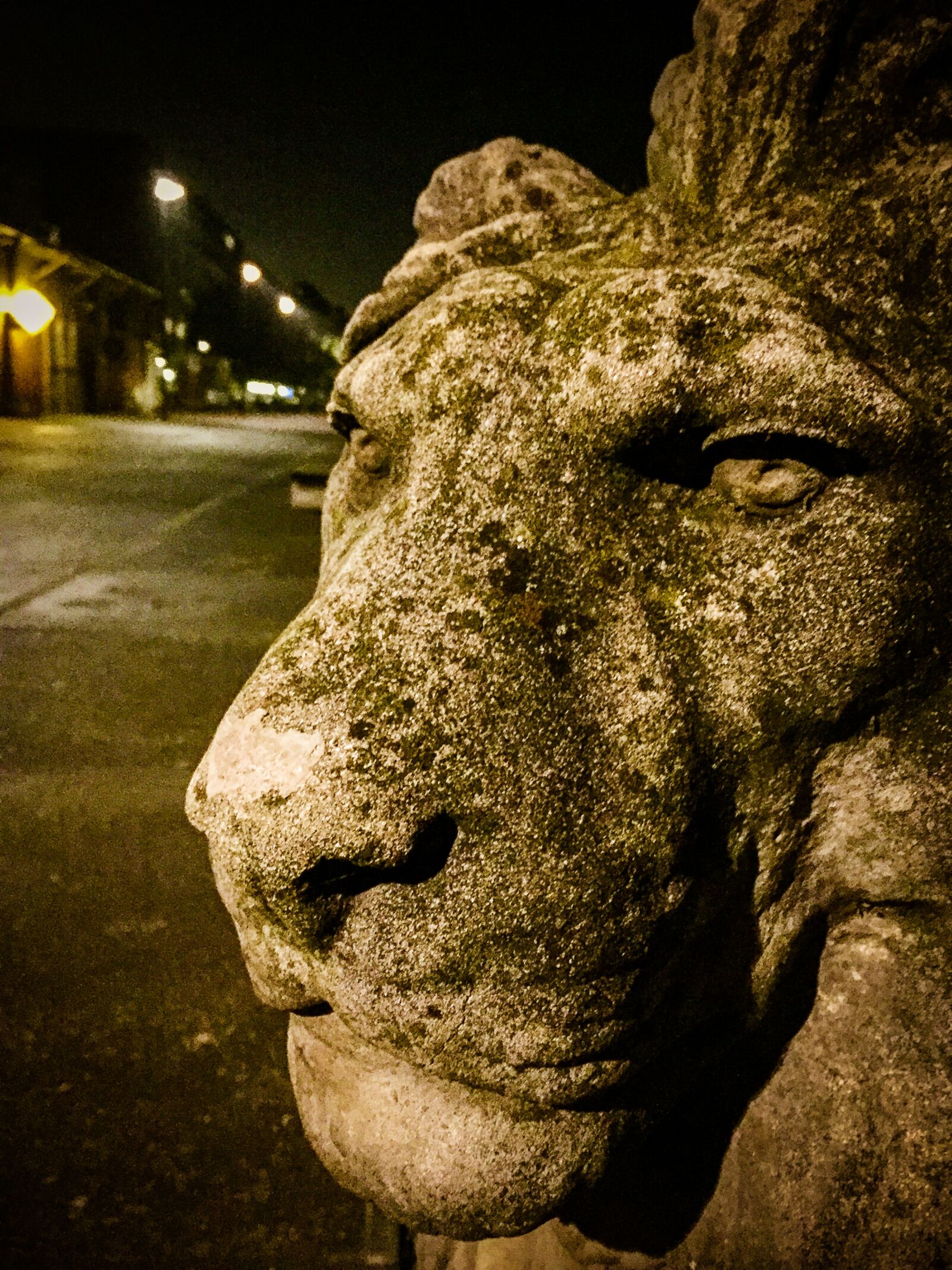Apple iPhone 6 sample photo. Lion, amsterdam, statue photography