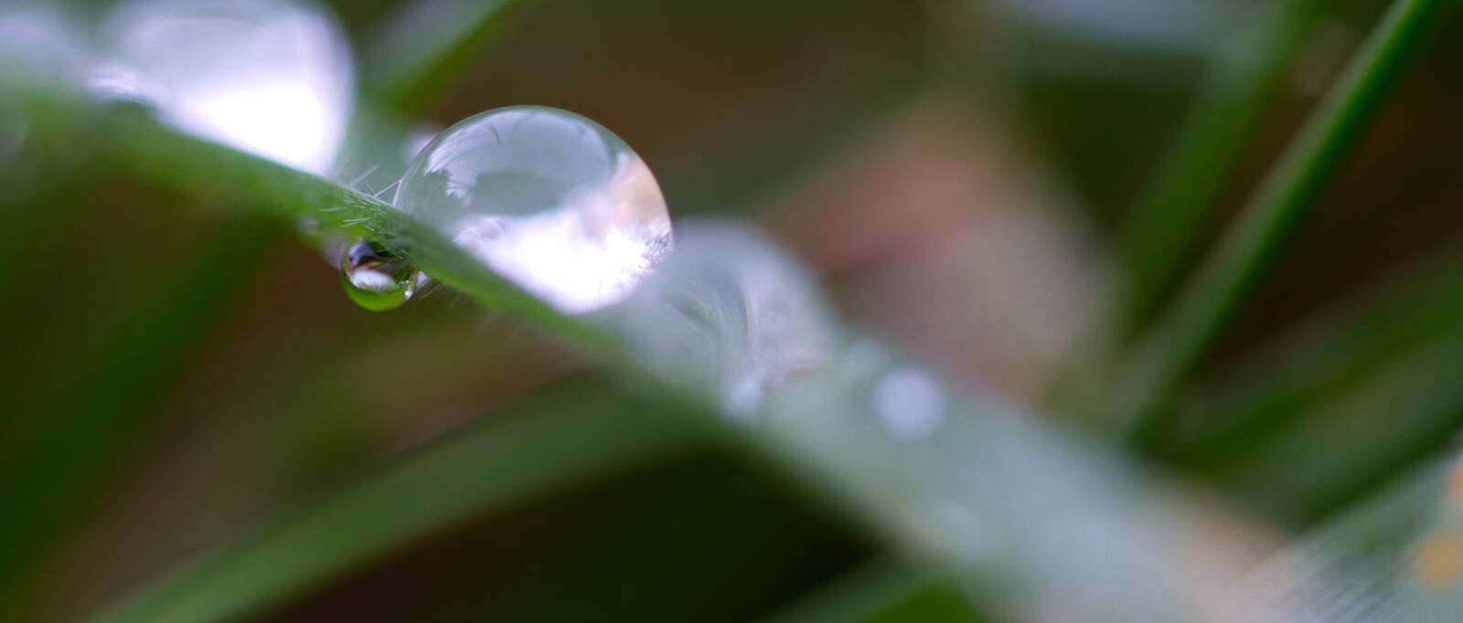 Nikon D3100 sample photo. Drip, drop of water photography