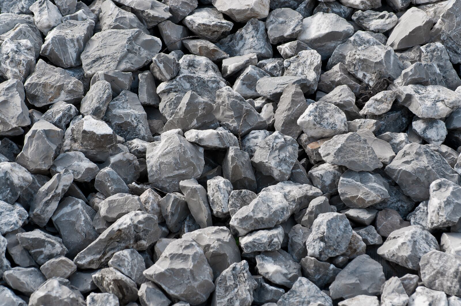 Nikon D90 sample photo. Stones, garden, nature photography