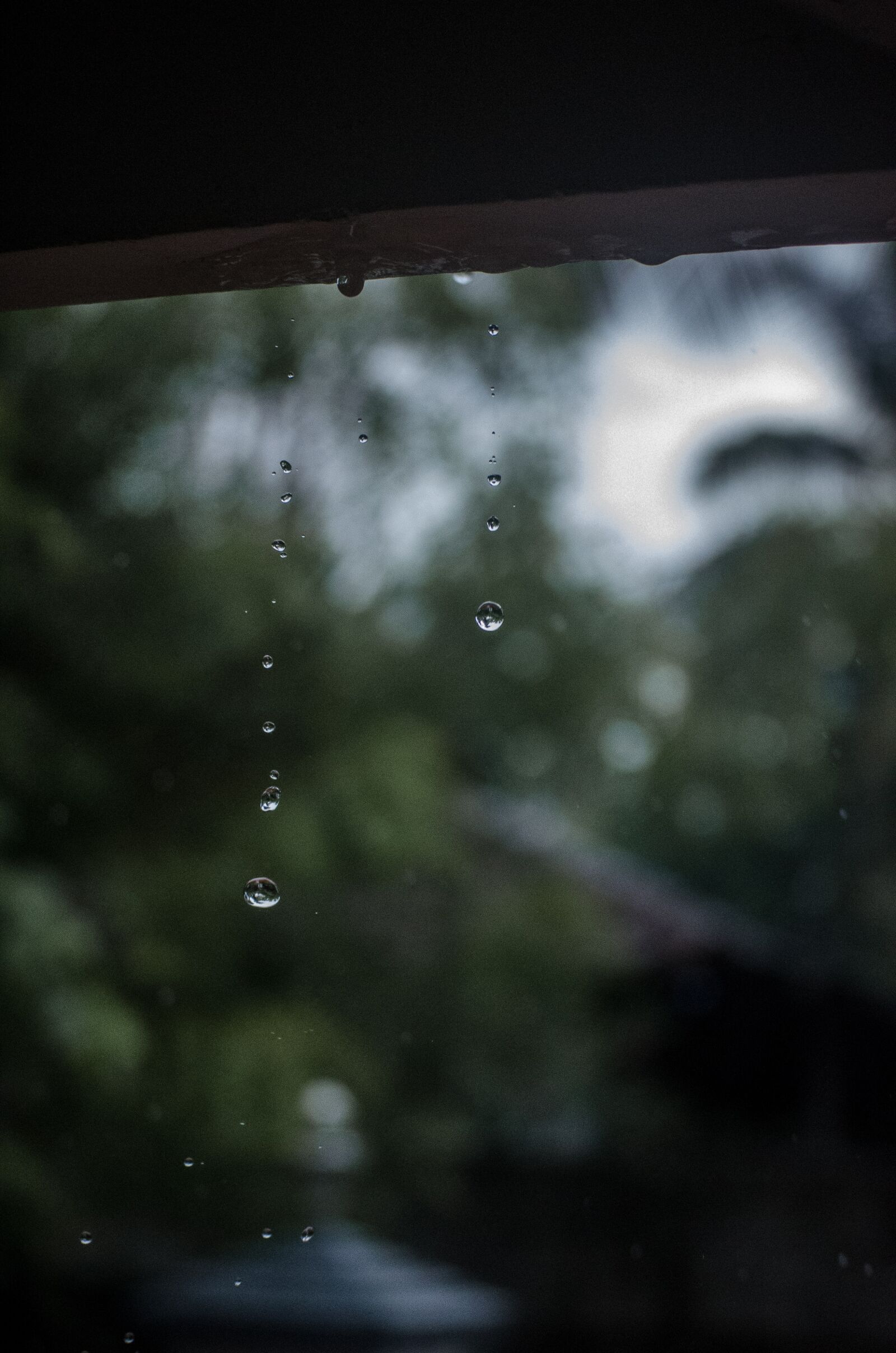 Nikon D5100 sample photo. Rain, water, monsoon photography