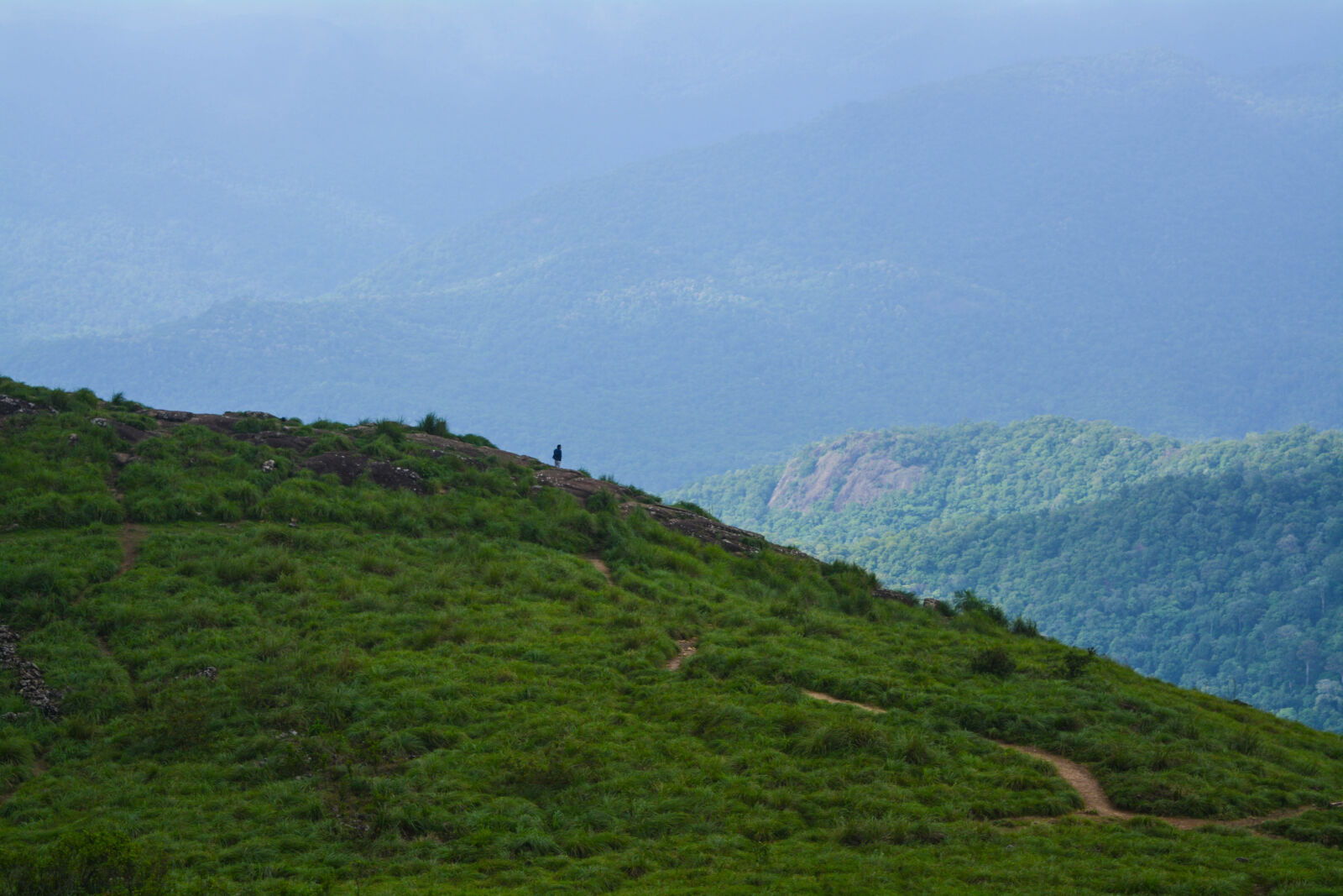 Nikon D5200 sample photo. And, mist, green, hill photography