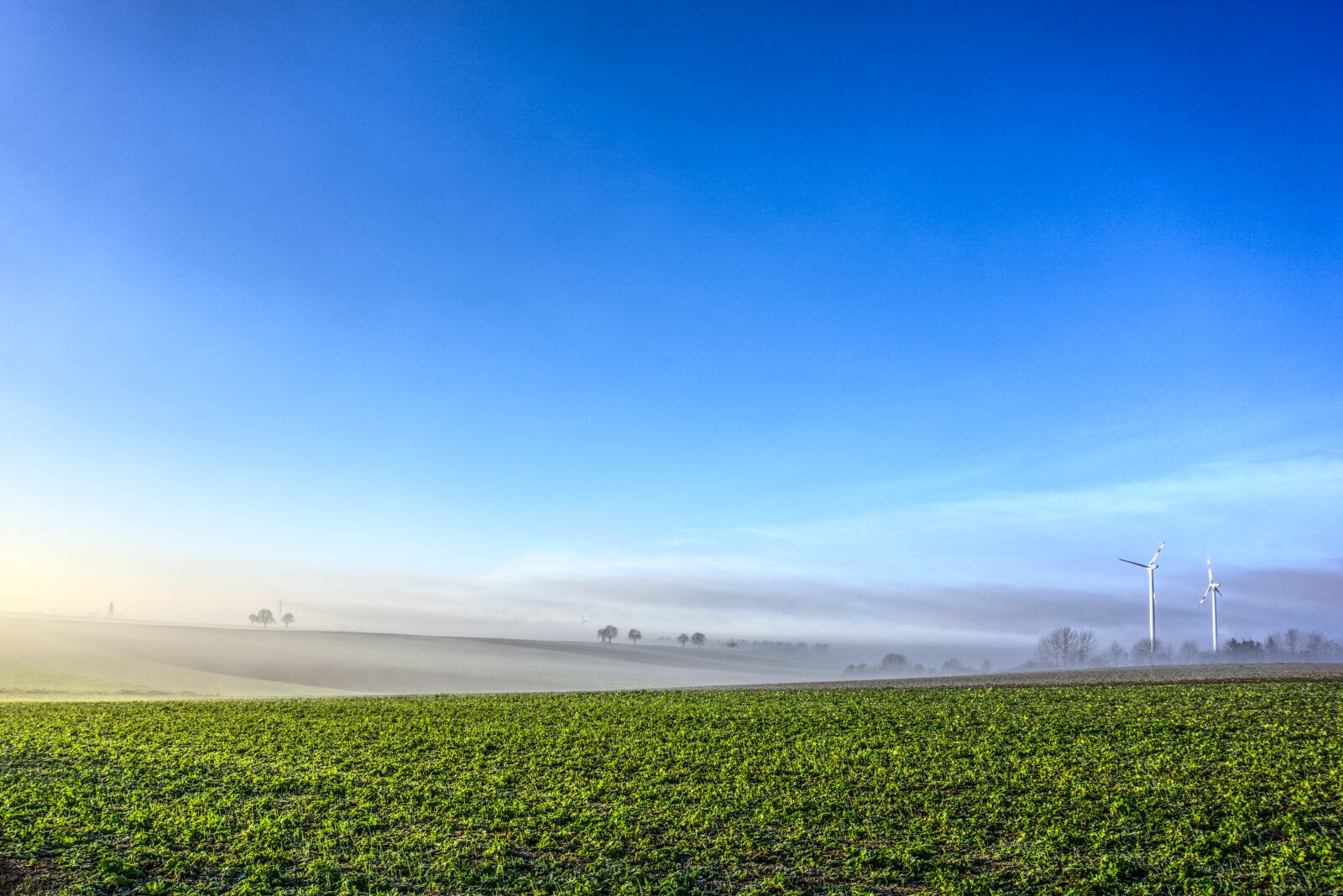 Sony a6000 sample photo. Windräder, fog, sky photography