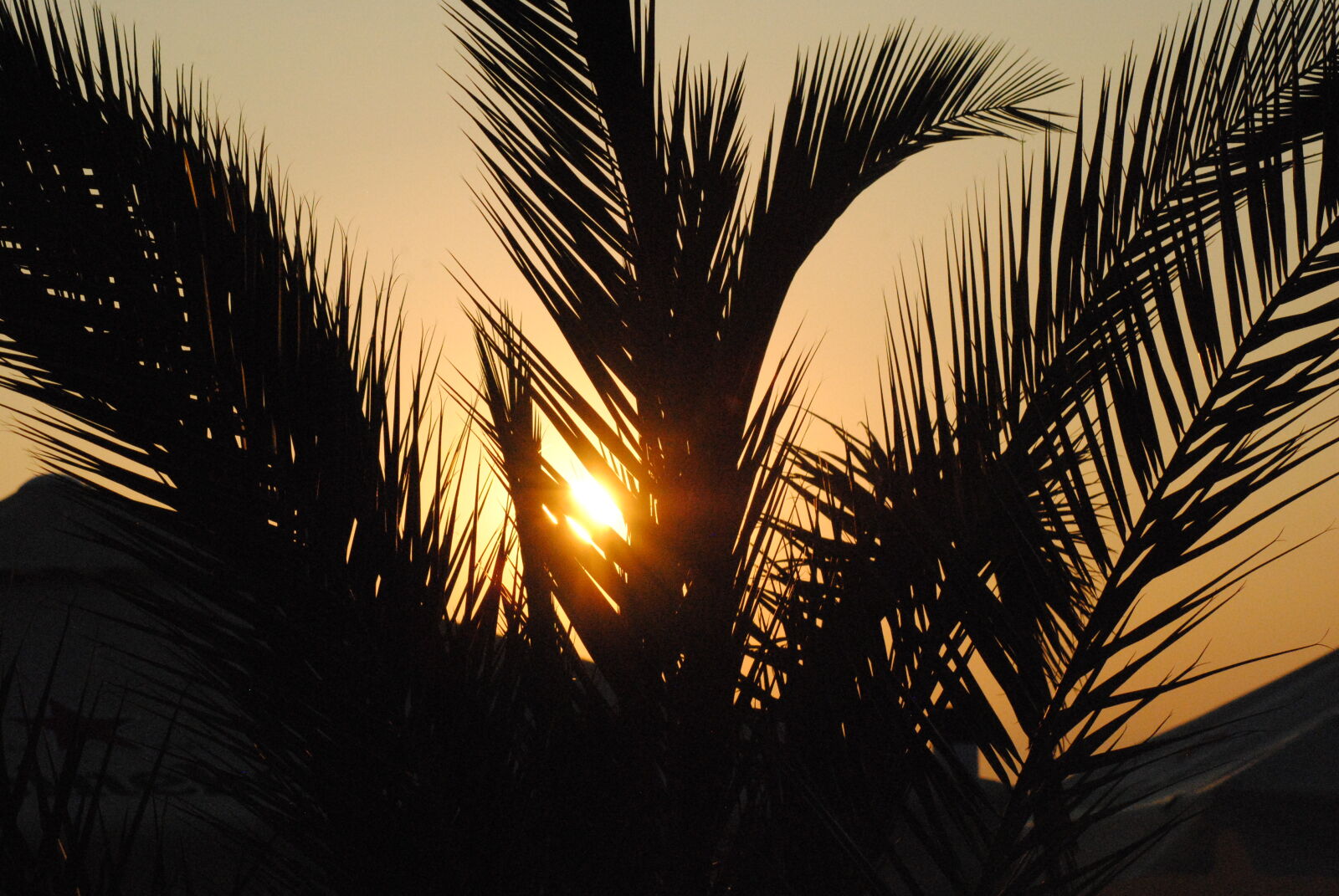 Nikon D3000 sample photo