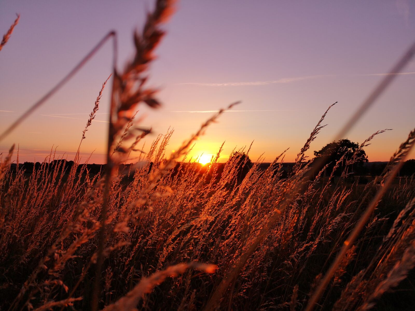 HUAWEI P20 sample photo. Sunset, filter, nature photography