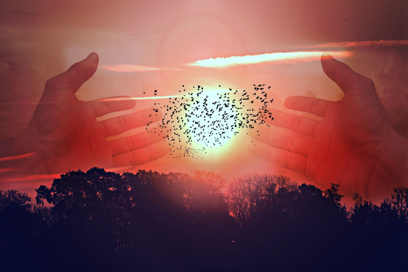 Nikon D750 sample photo. Hand, tree, sun photography