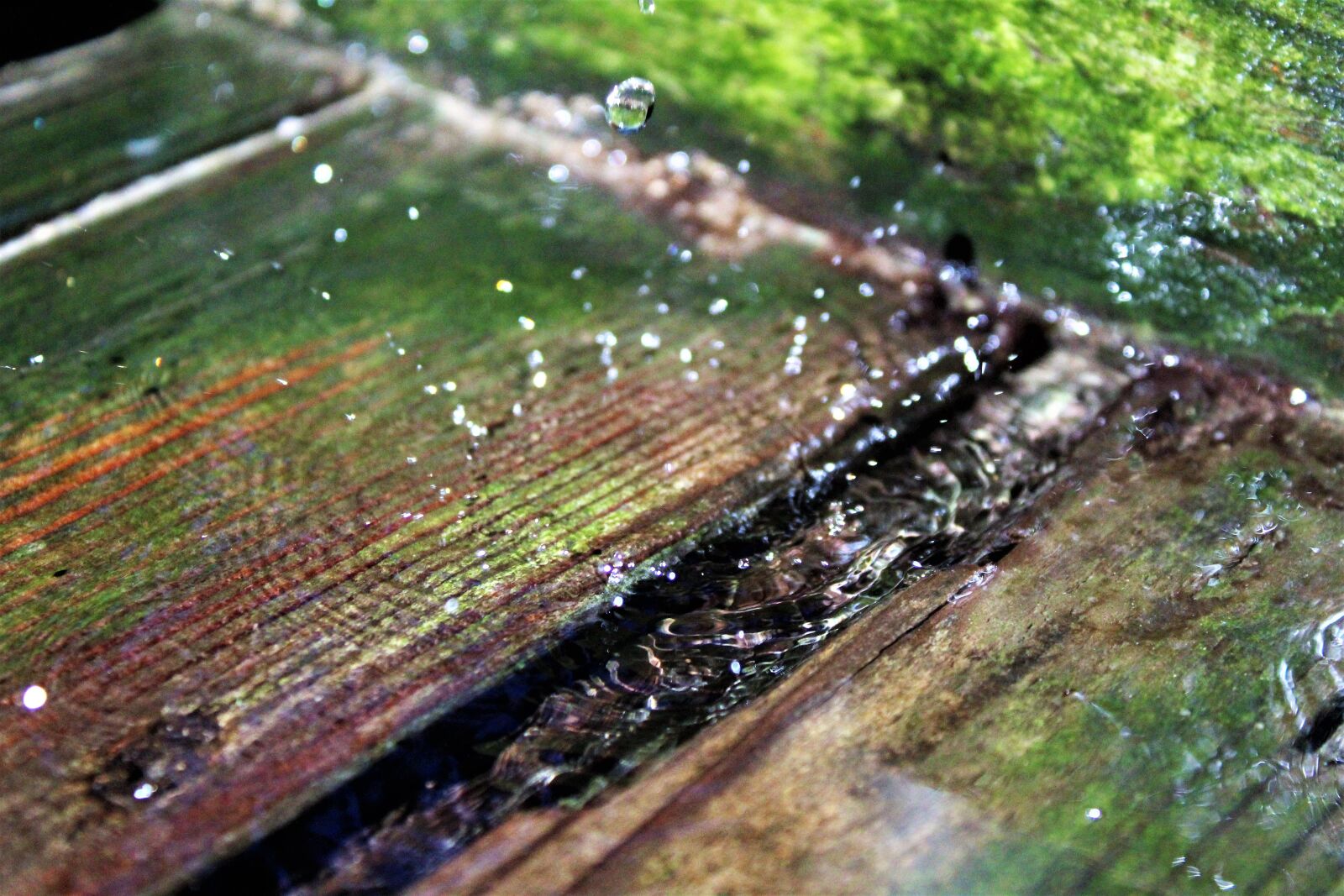 Canon EOS 1300D (EOS Rebel T6 / EOS Kiss X80) sample photo. Drop of water, wood photography