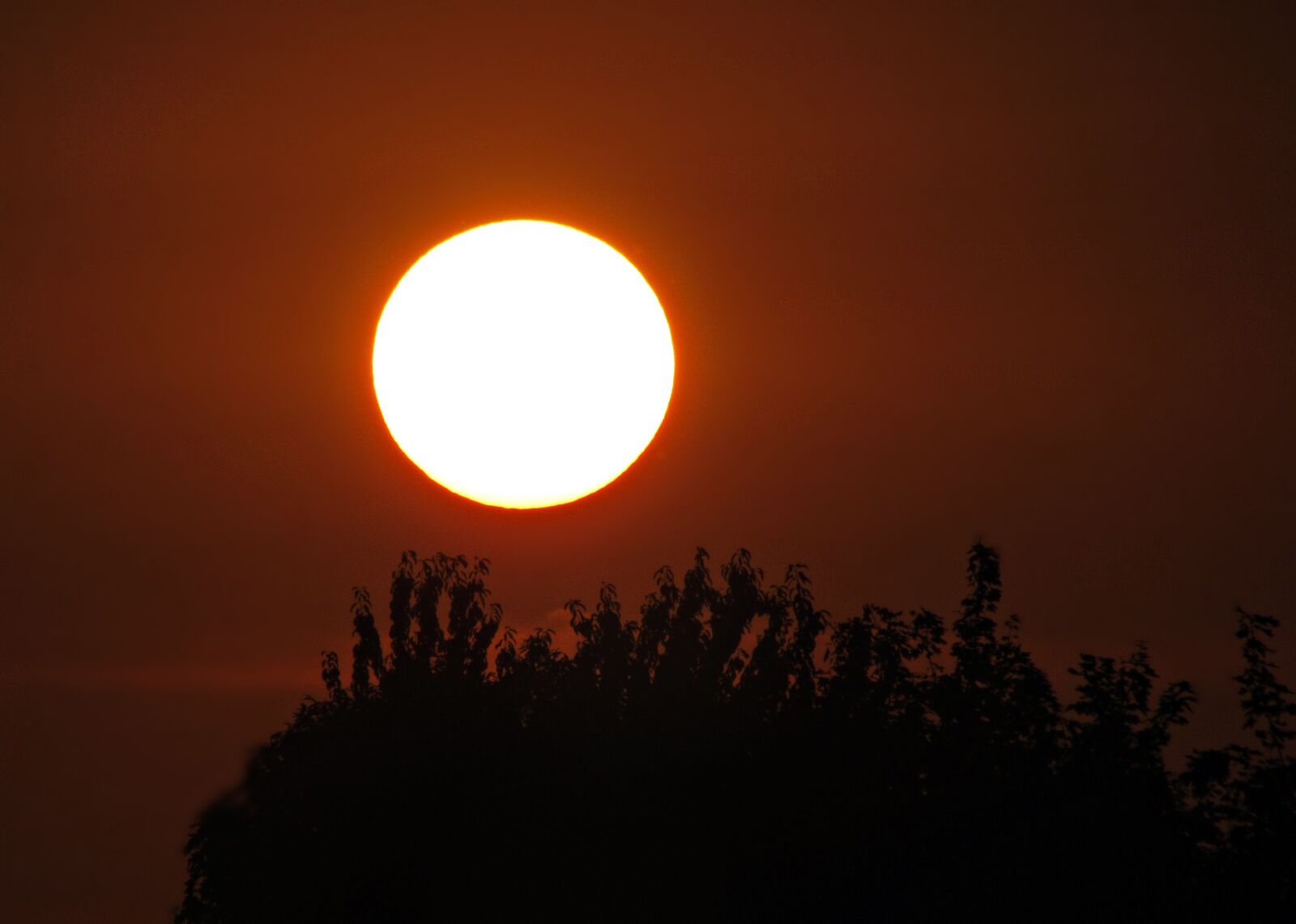 Canon PowerShot SX30 IS sample photo. The sun, west, evening photography