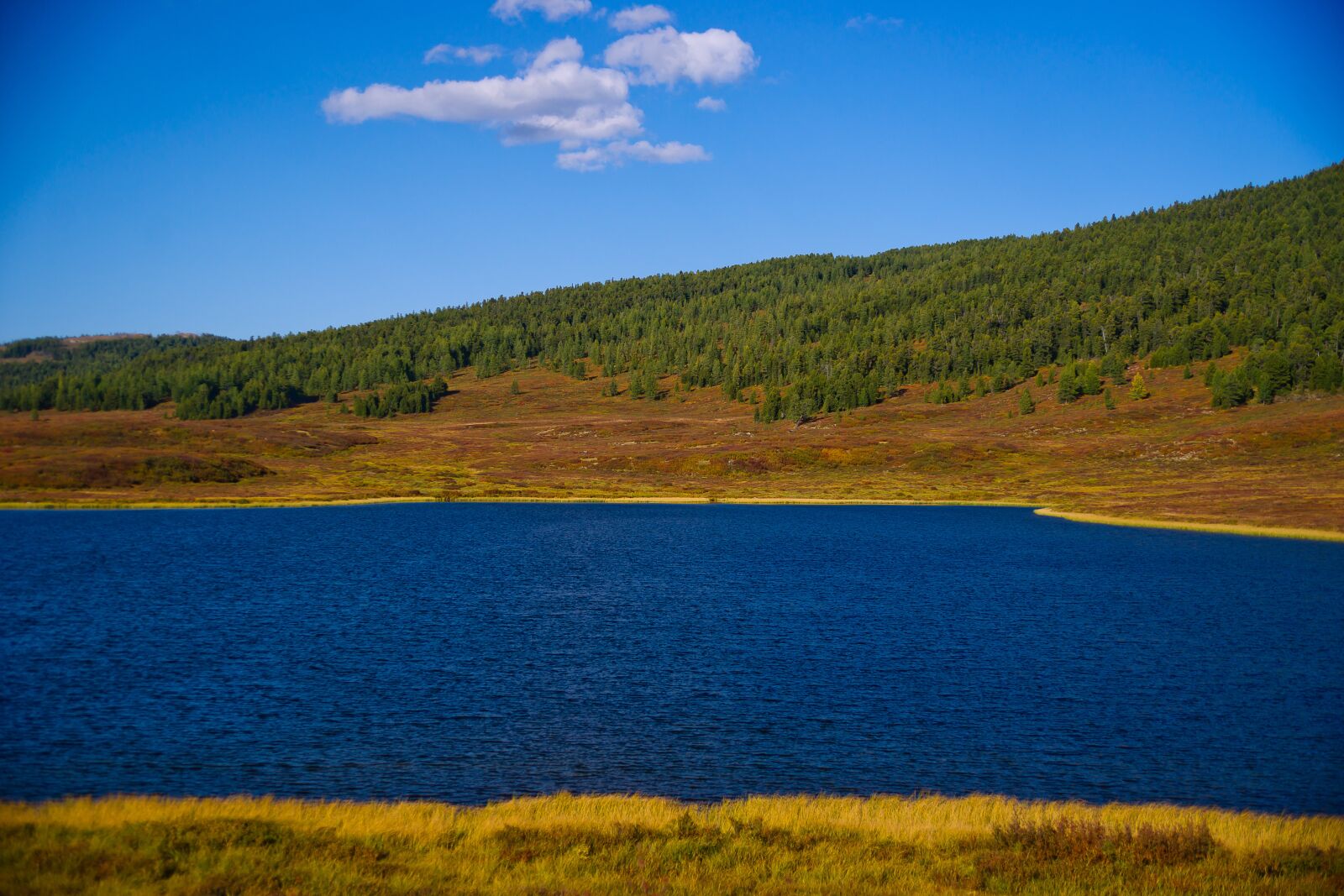 Sony Alpha DSLR-A850 sample photo. Nature, landscape, water photography