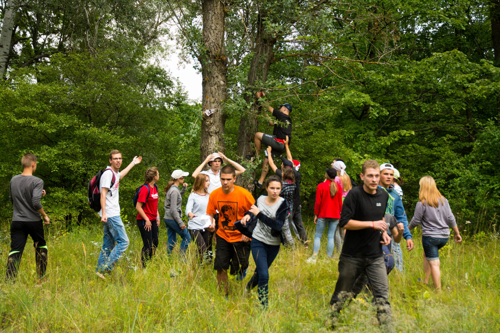 Nikon D7100 sample photo. Camp, dip, forest, pine photography