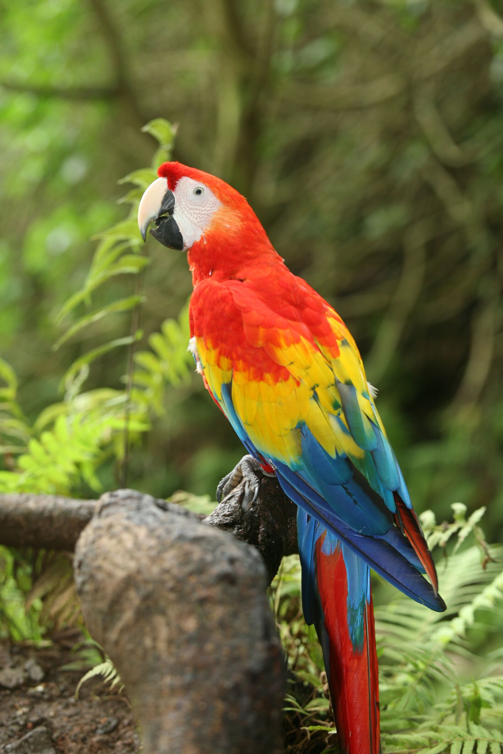 Canon EOS 5D sample photo. Birds, exotic, waterfall photography