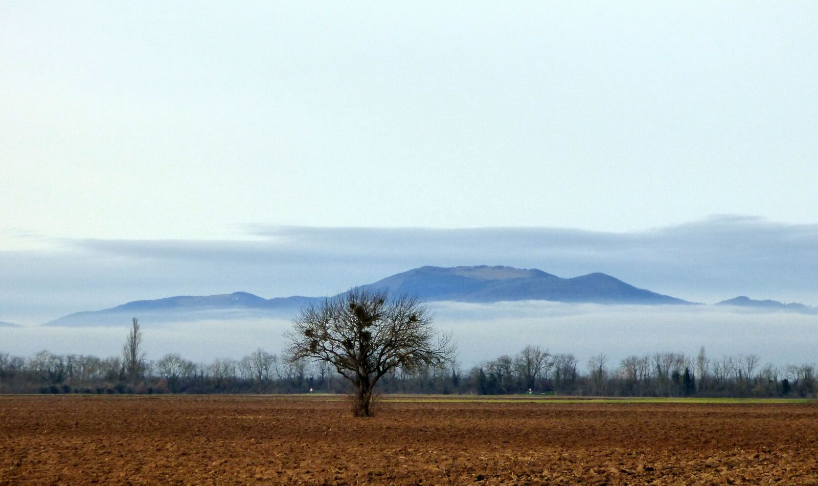 Panasonic DMC-FZ72 sample photo. Tree, sky, landscape photography