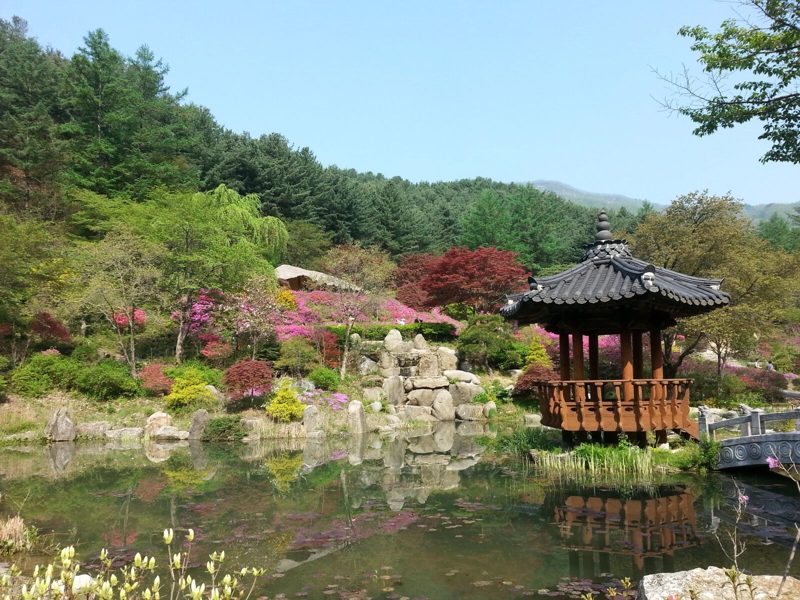 Samsung Galaxy Note2 sample photo. Nature, garden, park photography