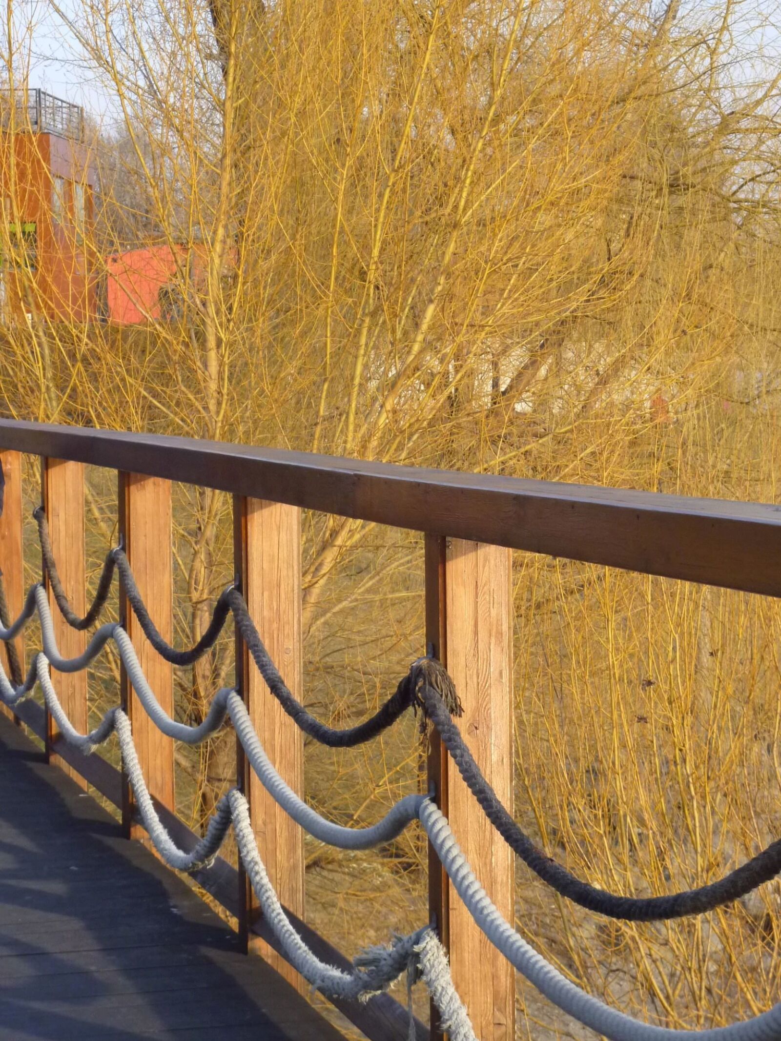 Panasonic Lumix DMC-S1 sample photo. Wood, rope, fence, bridge photography