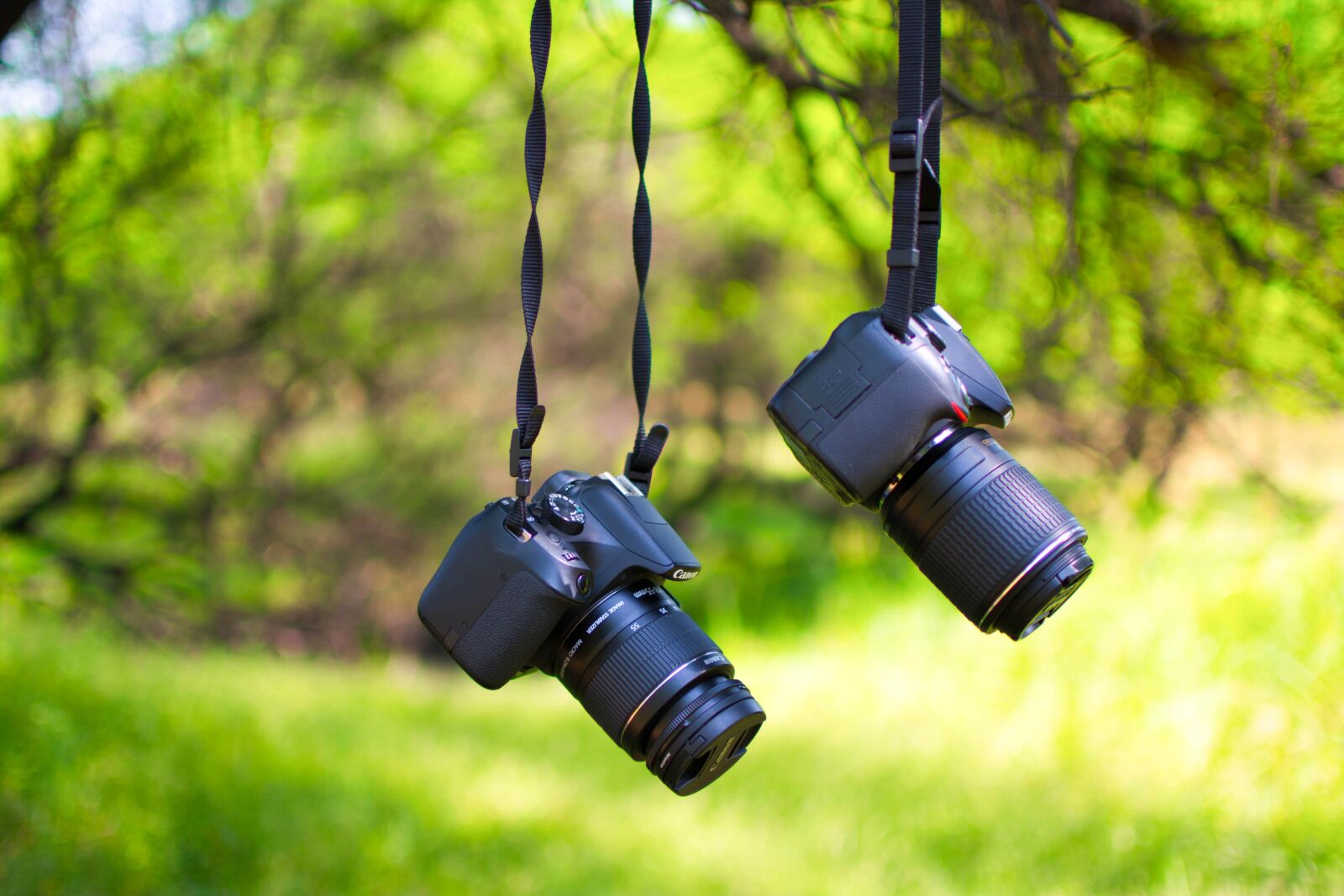 Nikon D5200 sample photo. Camera, dslr, photography photography