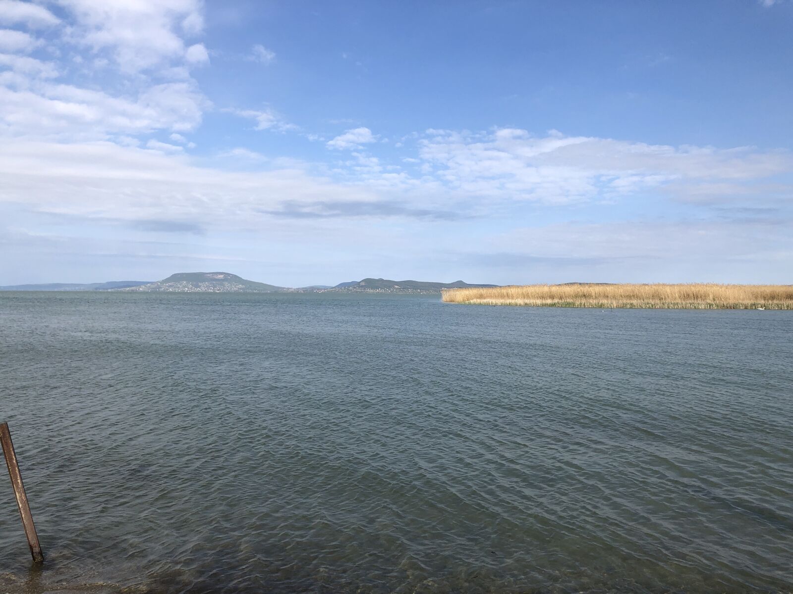 iPhone 8 back camera 3.99mm f/1.8 sample photo. Lake balaton, lake, water photography