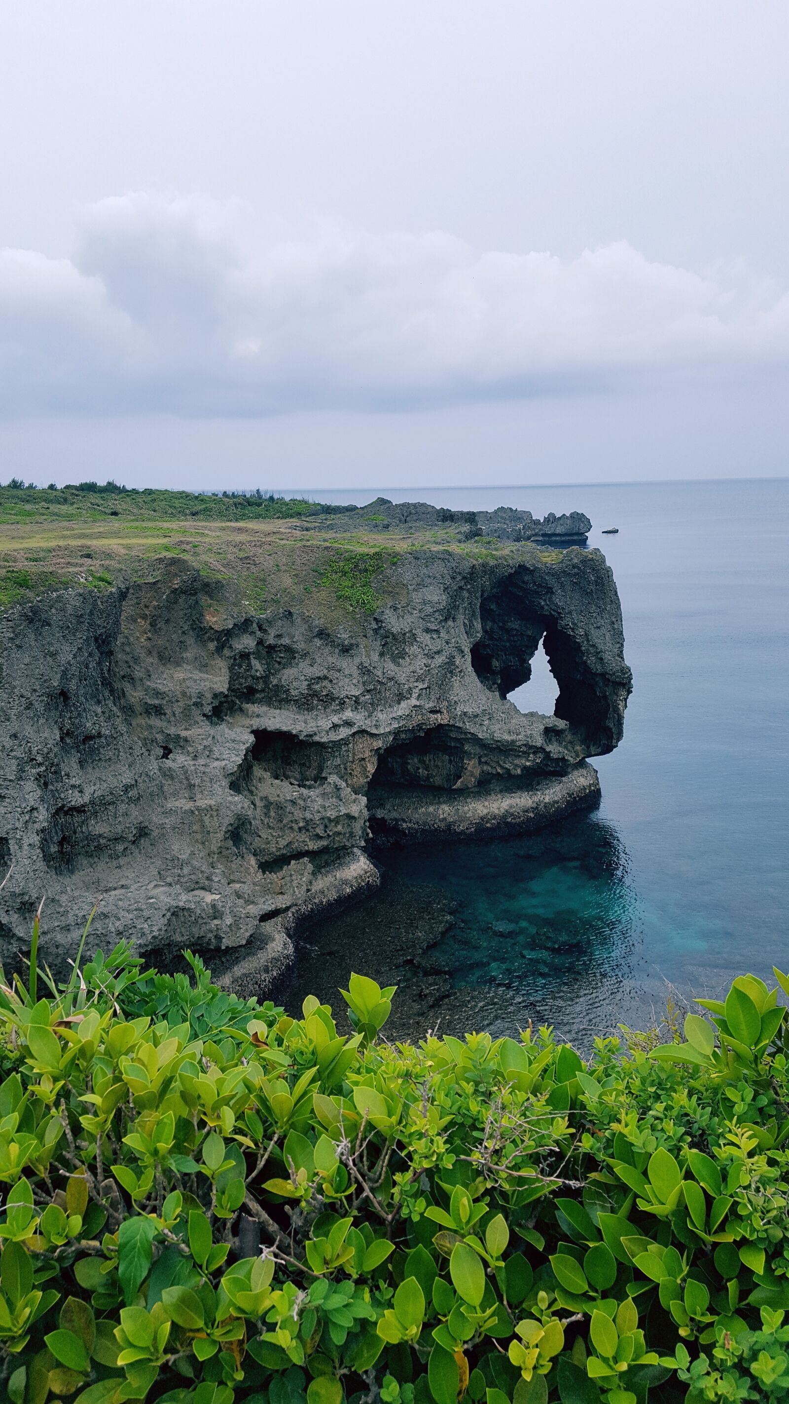 Samsung Galaxy S6 sample photo. Create account demo, landscape photography