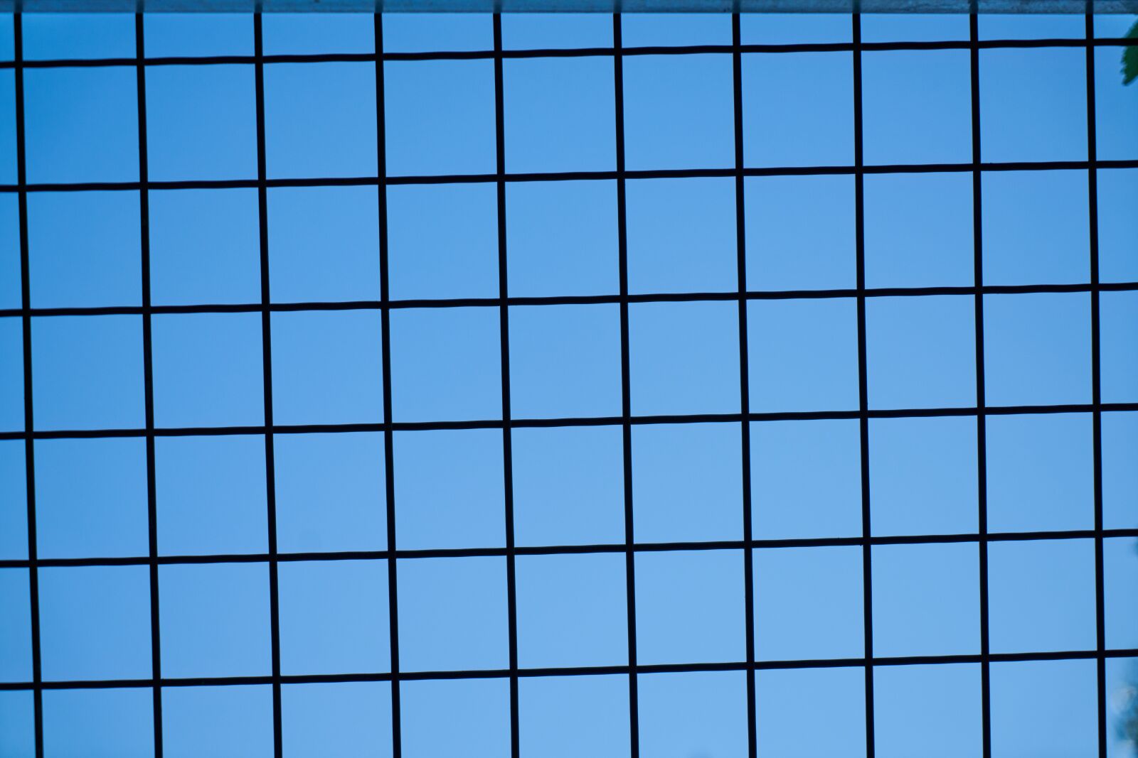 Sony a7R II sample photo. Daniel, square, abstract photography