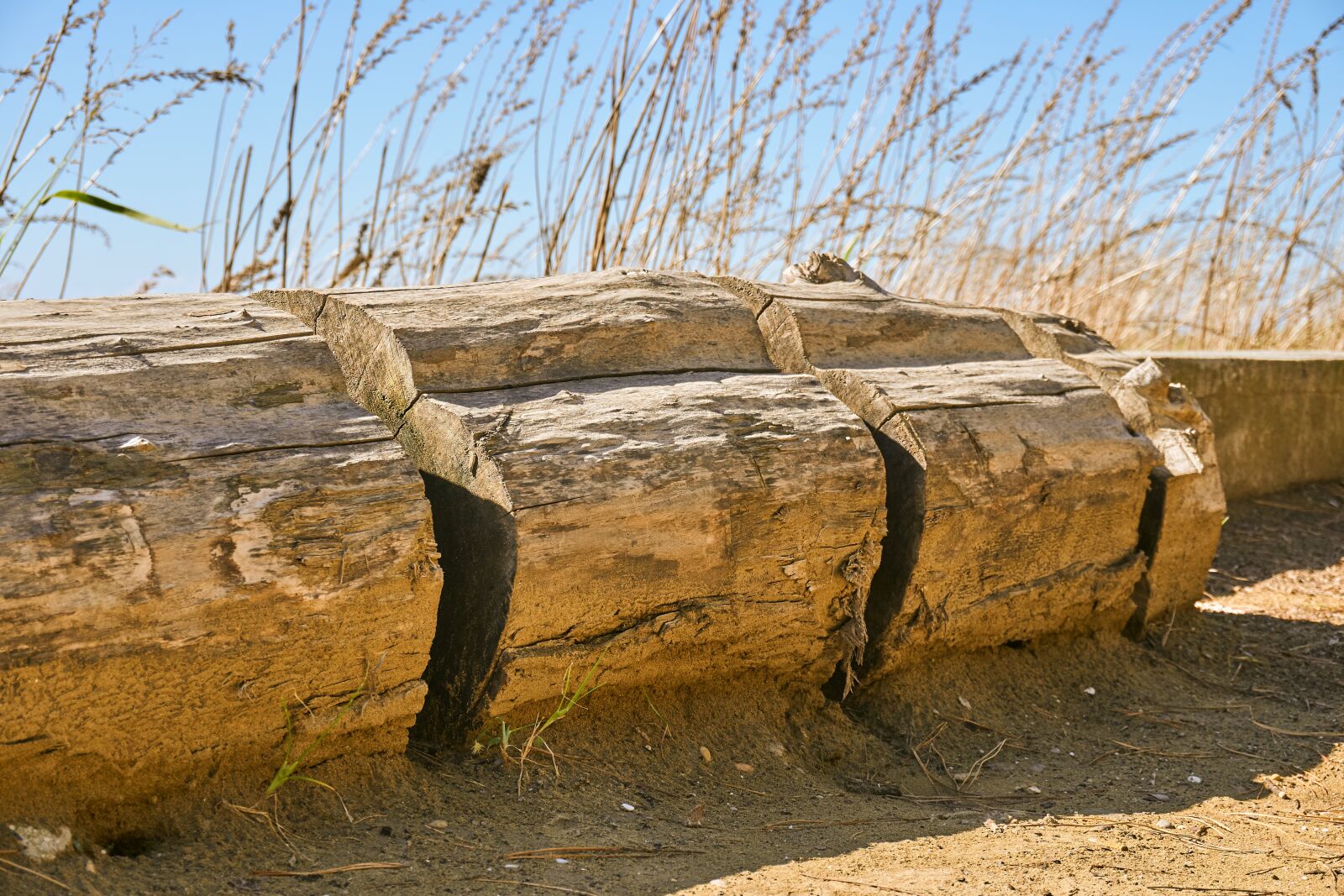 Sony a6400 sample photo. Bike racks, log, rustic photography