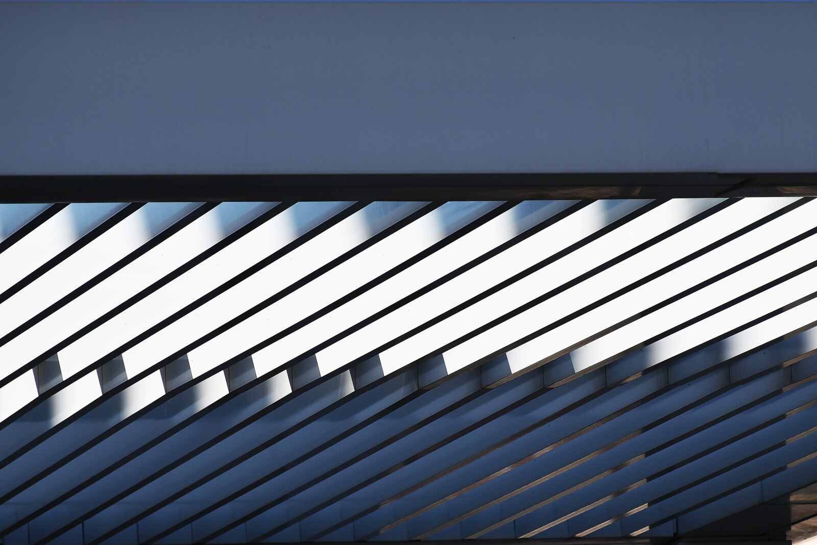 Nikon D750 sample photo. Steel, roof, pattern photography