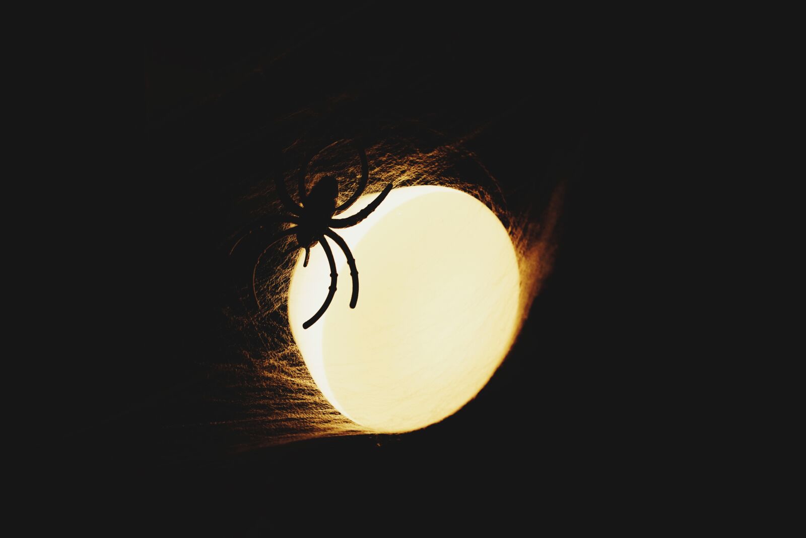 Canon 18-35mm F1.8 DC HSM | Art 013 sample photo. Lighting, spider, halloween photography