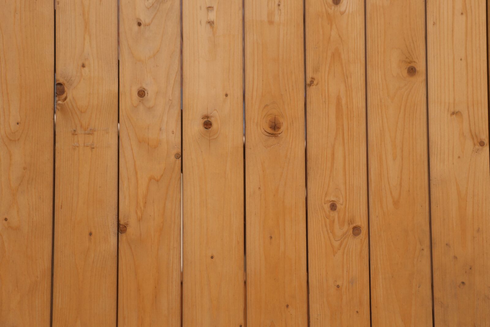 Canon EOS 7D Mark II sample photo. Wood, background, grain photography