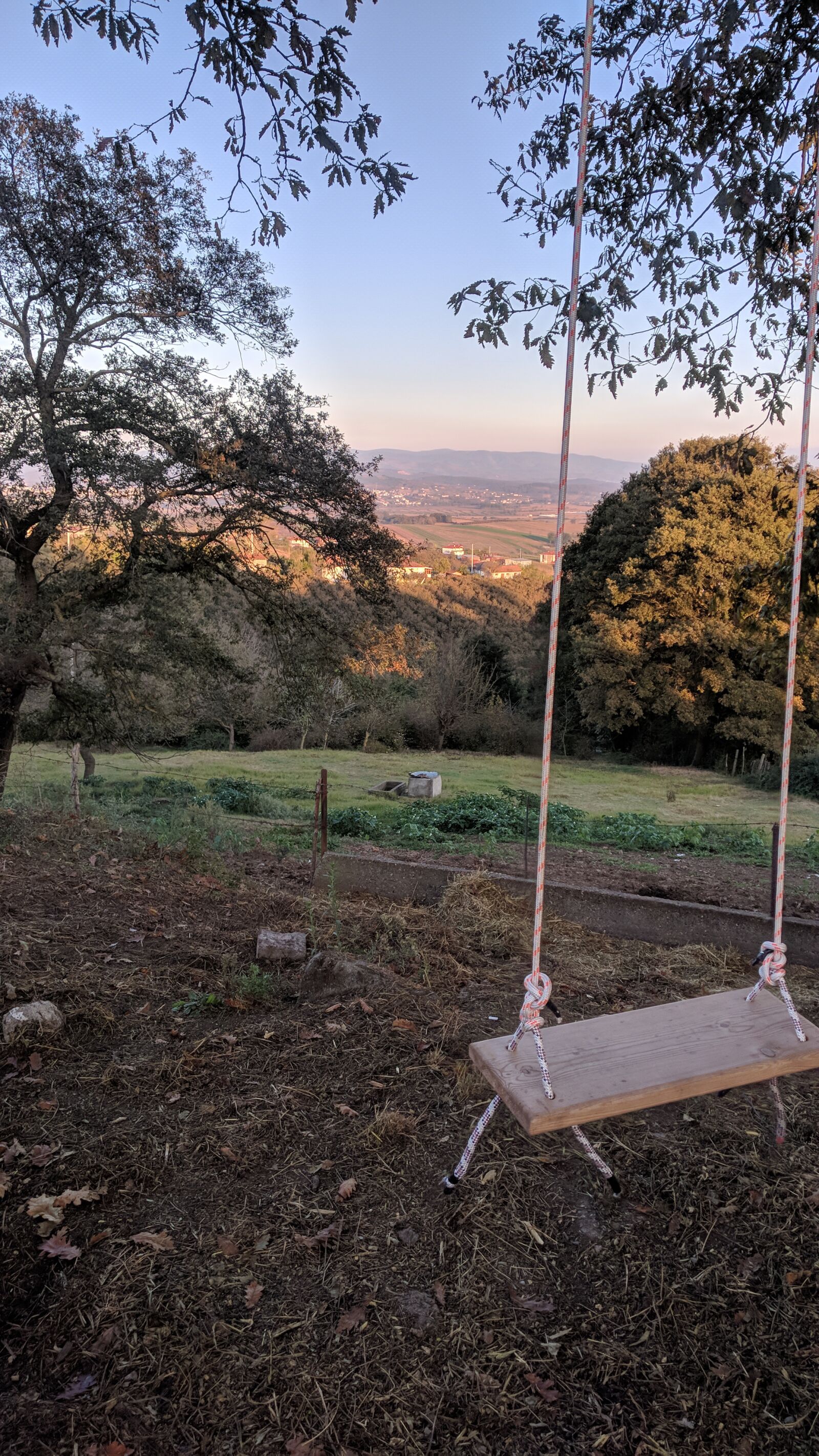 Xiaomi Mi A1 sample photo. View, nature, swing photography