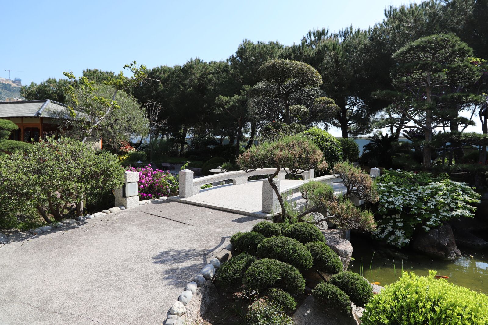 Canon EOS 6D Mark II sample photo. Garden, nature, tree photography