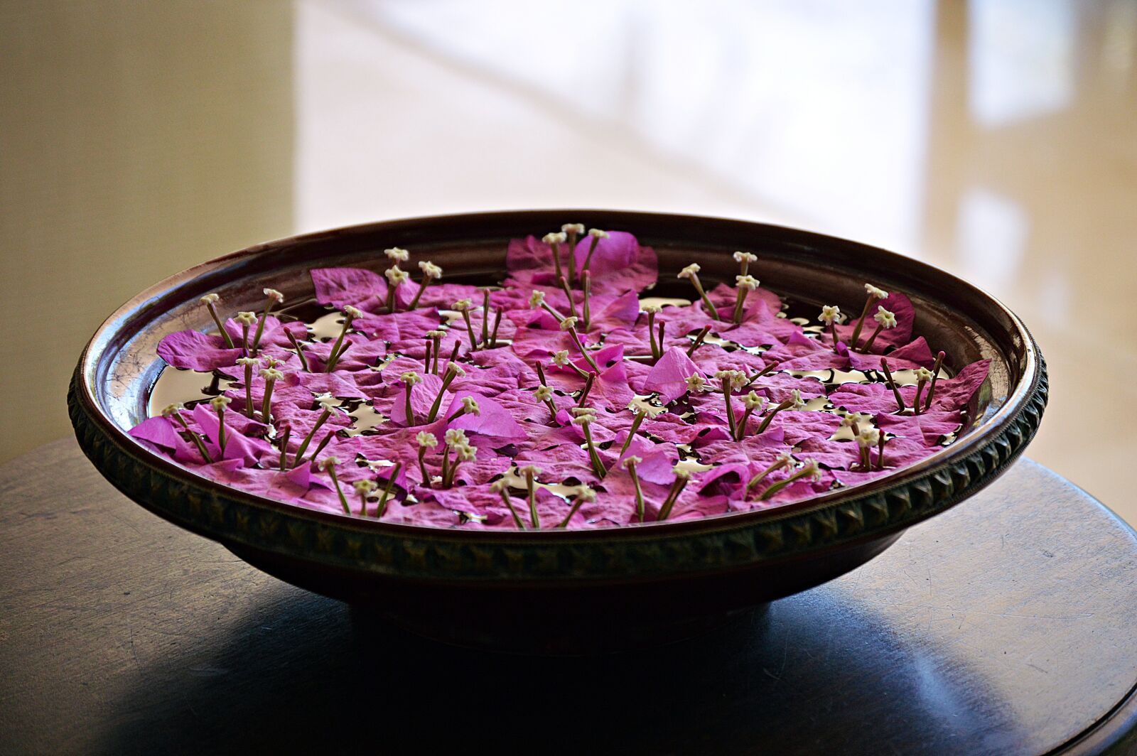 Nikon D3200 sample photo. Decoration, shell, blossom photography