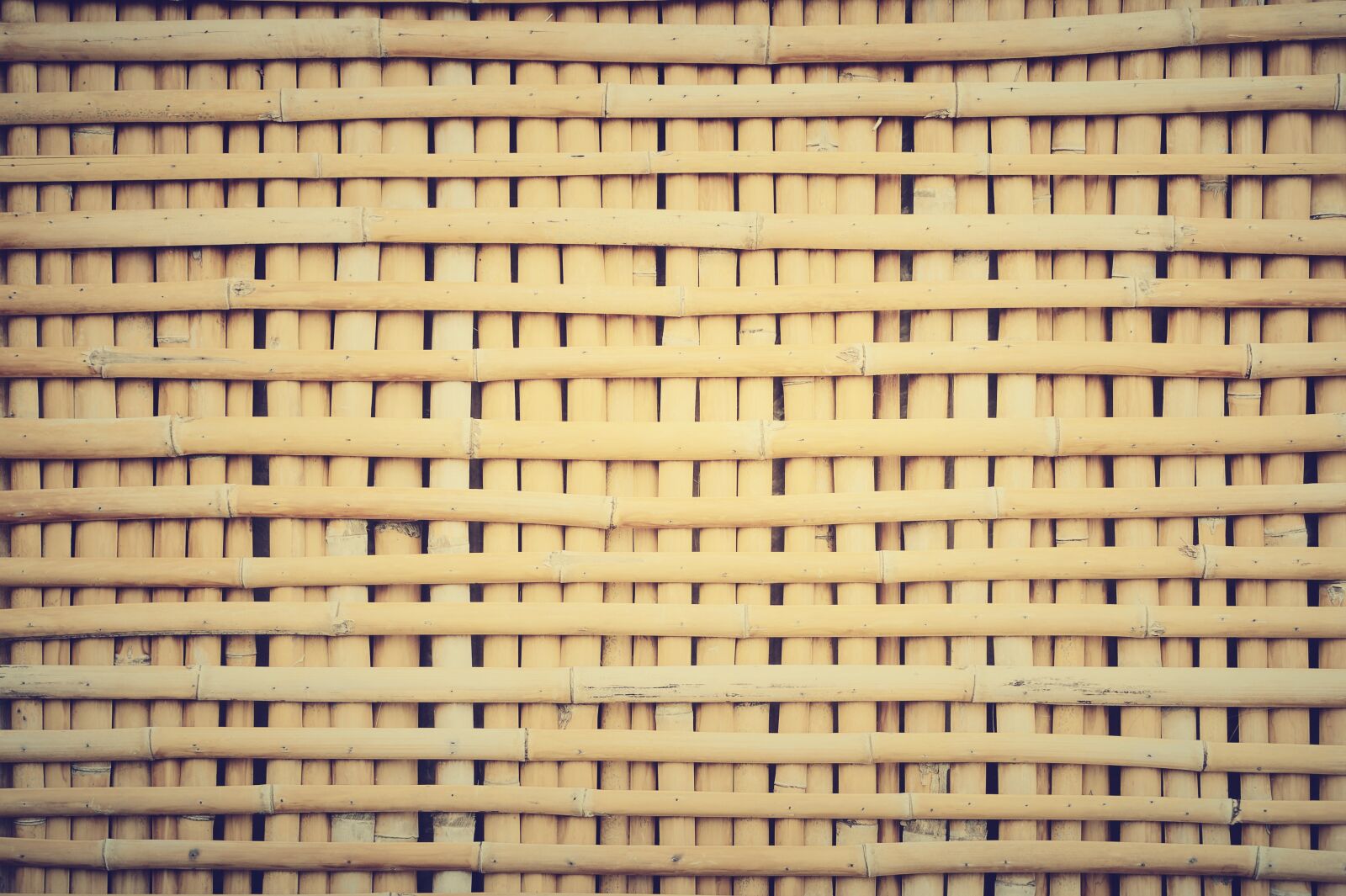 Nikon D700 sample photo. Asia, asian, background photography