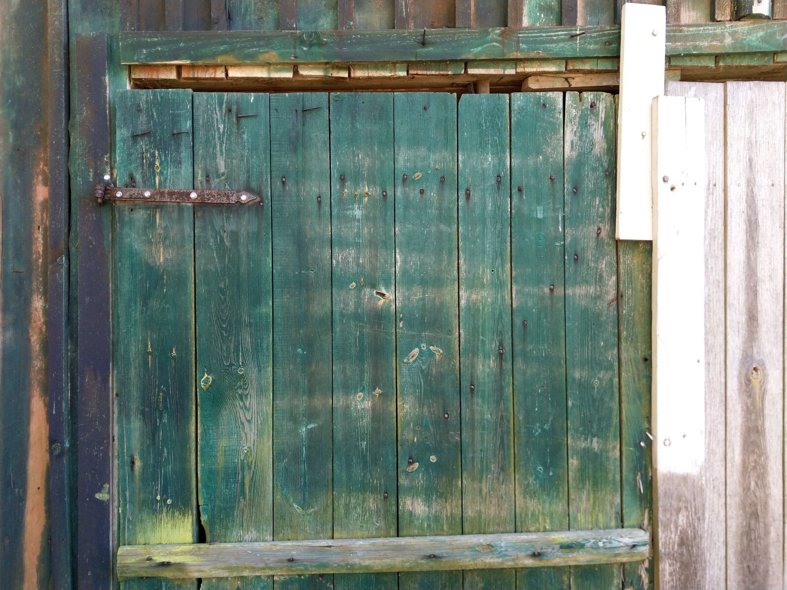 HMD Global Nokia 7 plus sample photo. Wooden, door, green photography
