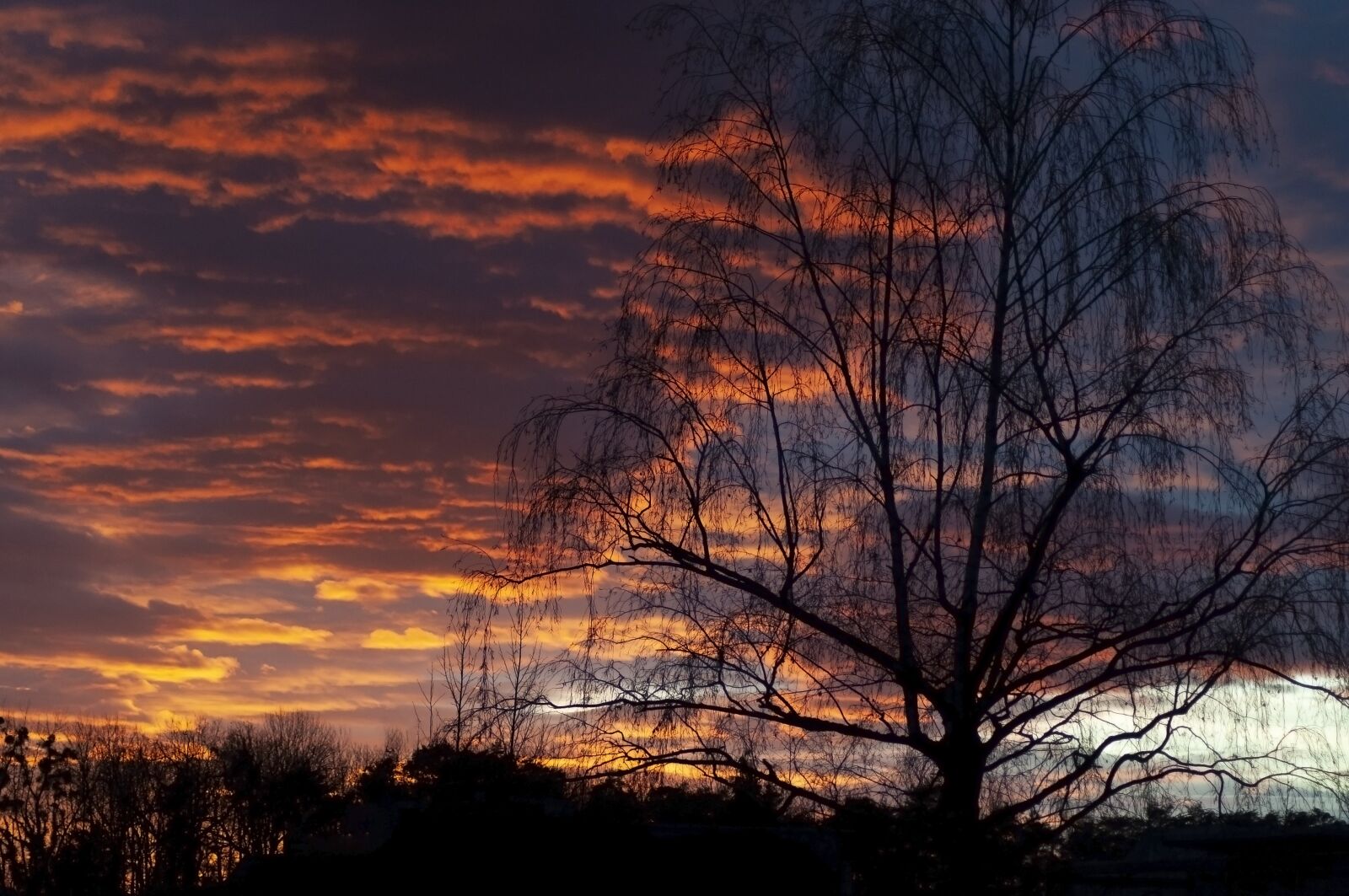 Nikon D5000 sample photo. Sunset, afterglow, abendstimmung photography
