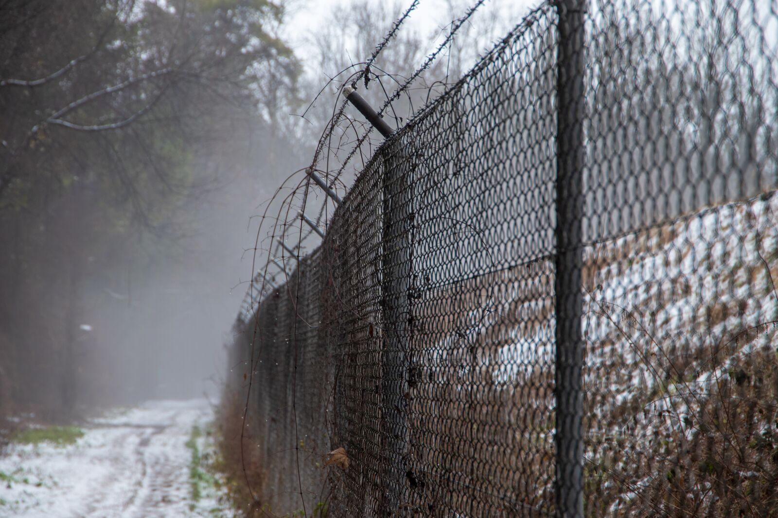 Canon EOS 6D Mark II sample photo. Fence, haze, fog photography