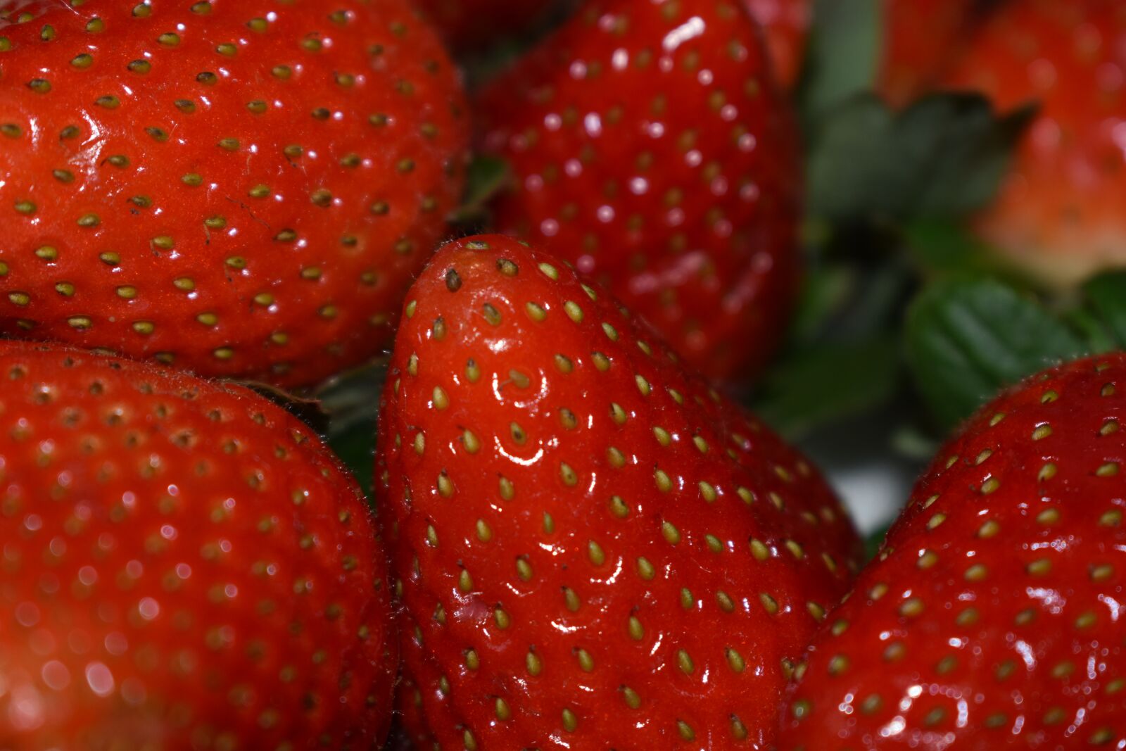 Nikon D3500 sample photo. Strawberry, berry, ripe photography