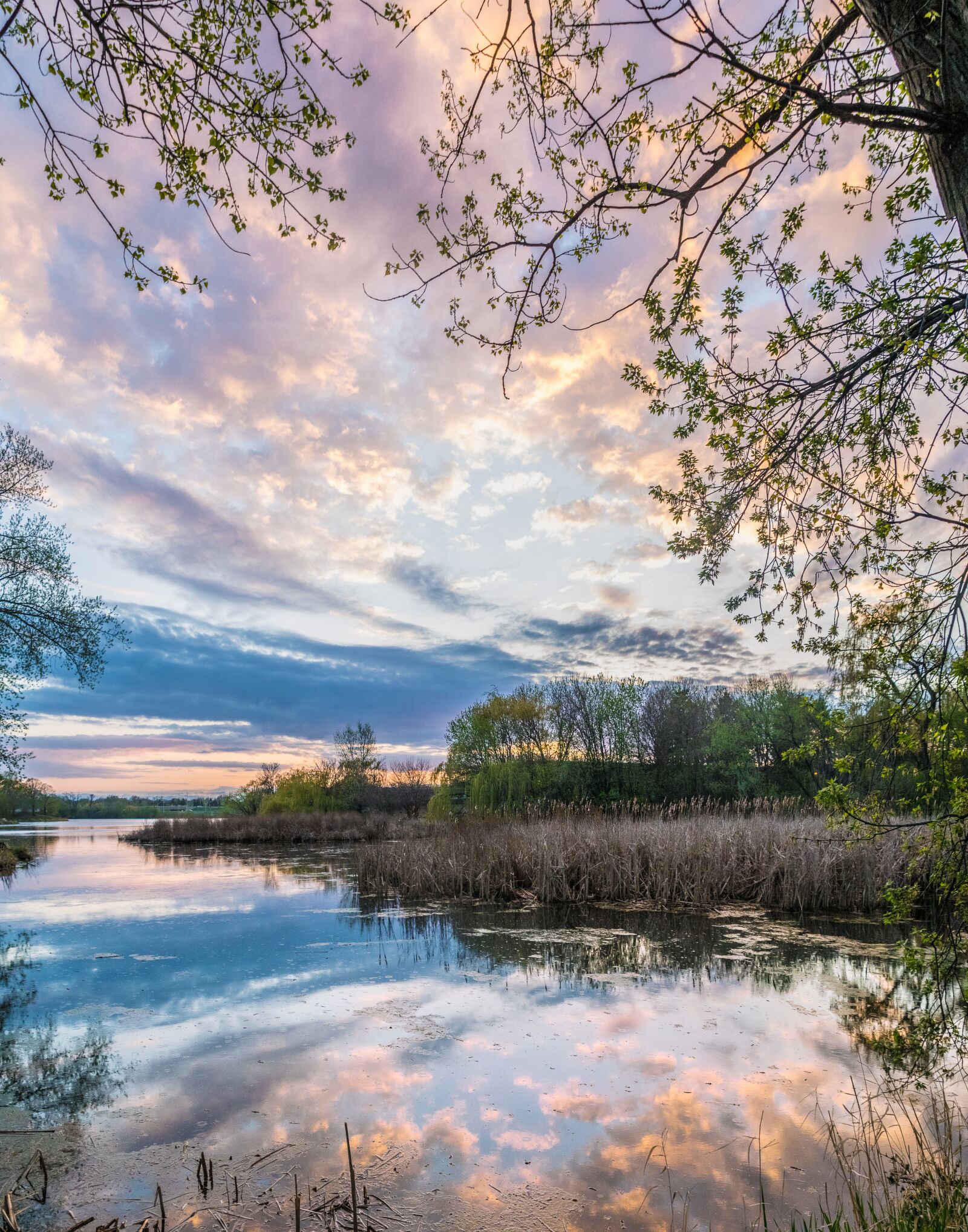 Nikon D5300 sample photo. Minnesota, lake, trees photography