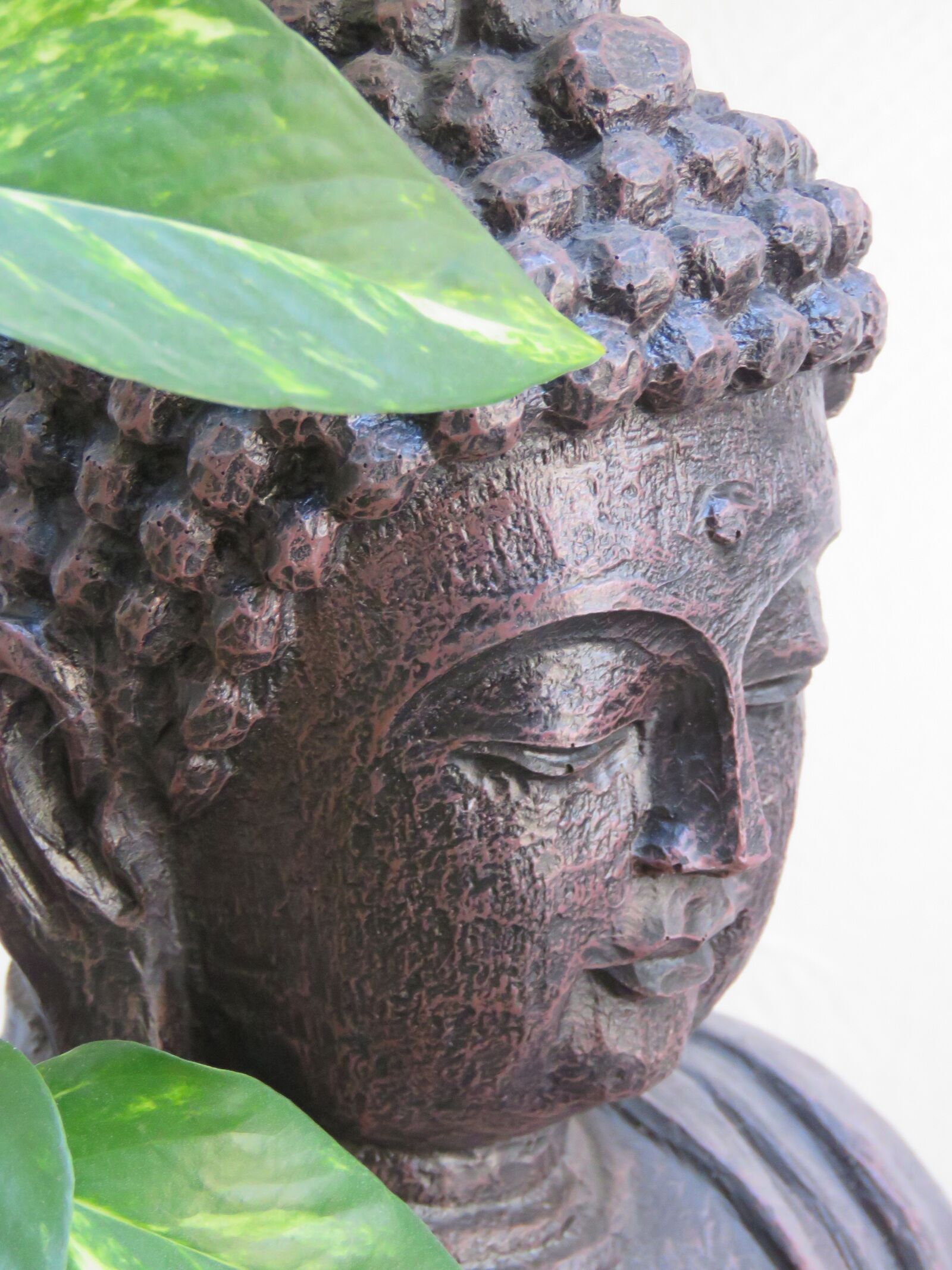 Canon PowerShot SX60 HS sample photo. Buddha, leaves, face photography