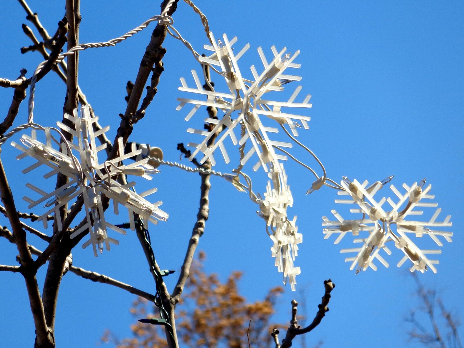 Sony Cyber-shot DSC-W690 sample photo. Snowflake, light, decorations, tree photography