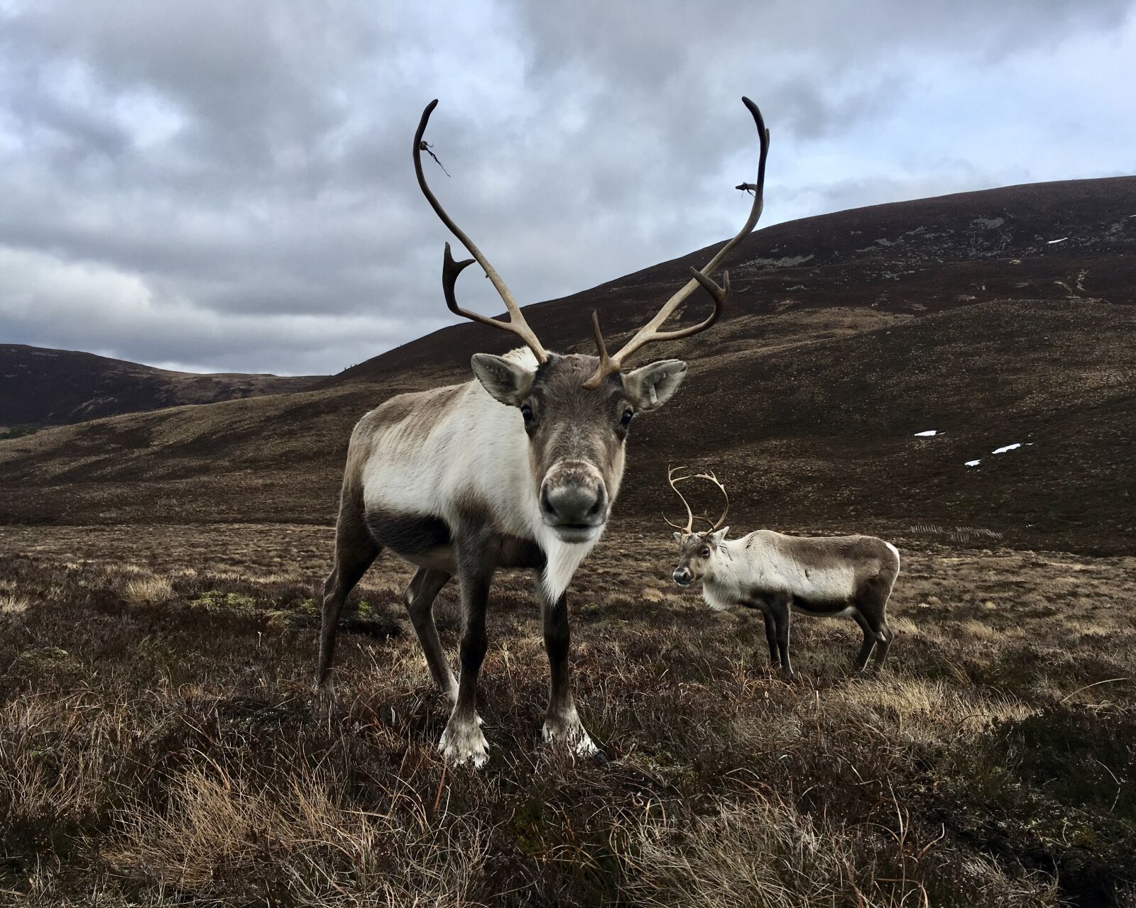 iPhone SE back camera 4.15mm f/2.2 sample photo. Scotland, hiking, outdoors photography