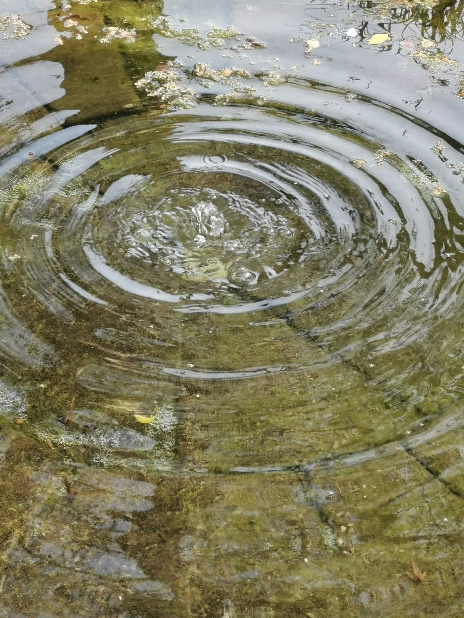 HUAWEI VOG-L29 sample photo