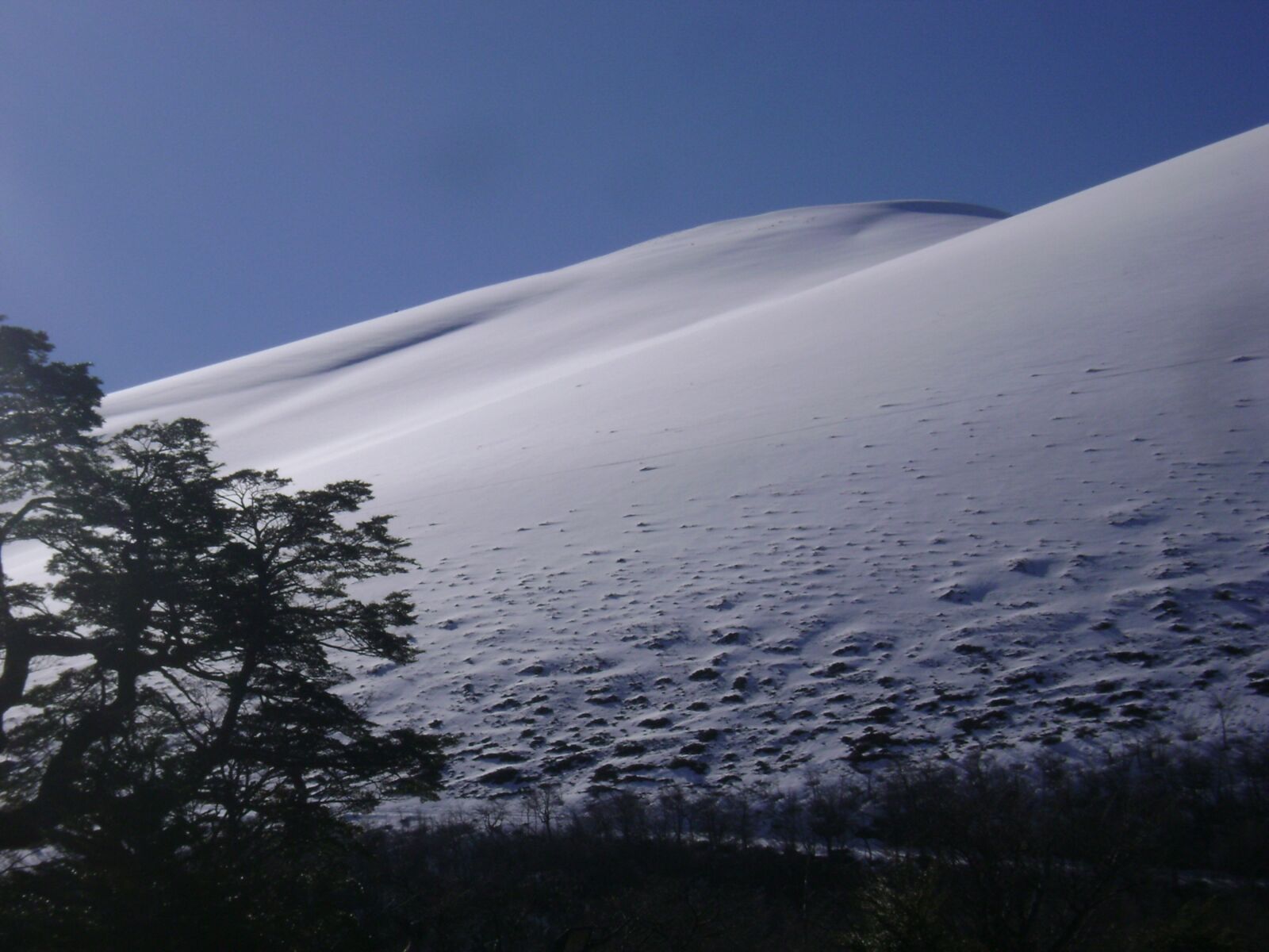 Sony DSC-S650 sample photo. Landscapes, snow, winter photography
