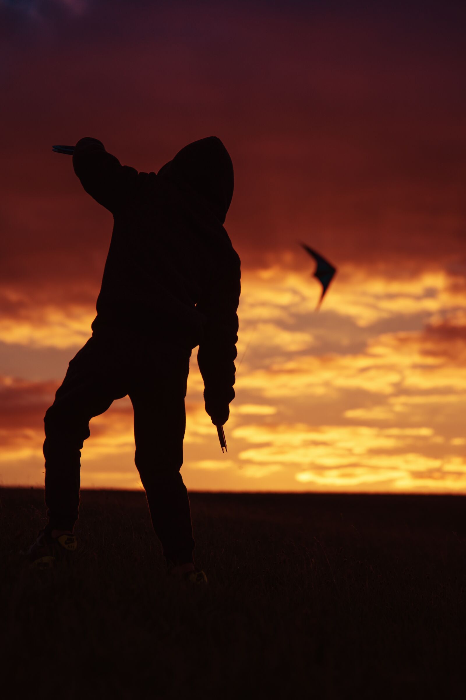 Nikon D750 sample photo. Kite, sunset, evening sky photography
